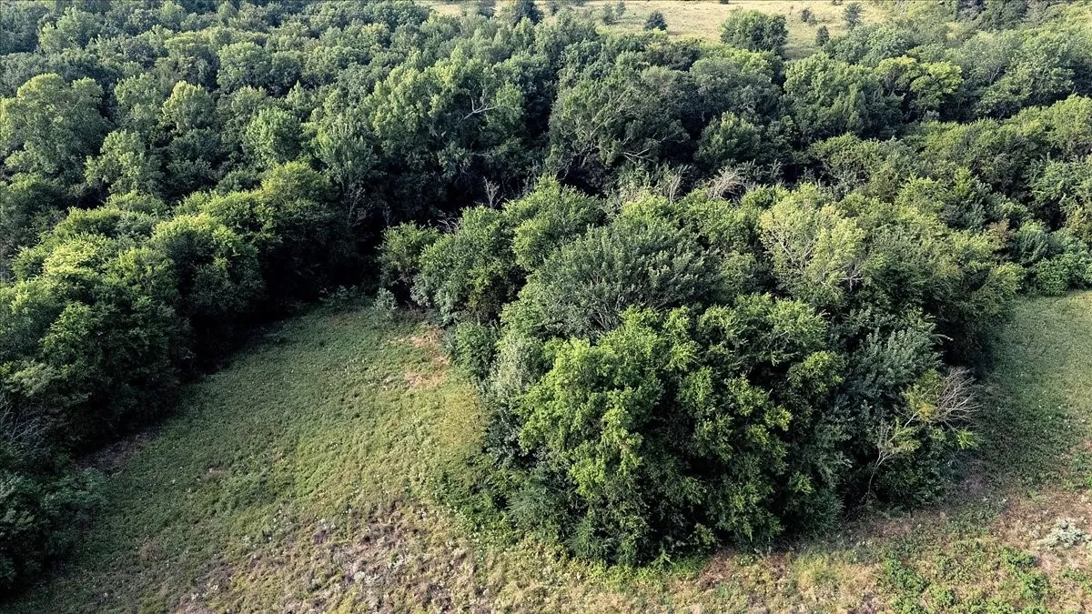 Unimproved Land For Sale in Smith County , TBD County Road 496, Lindale, Texas 75771, 0, 0, Garage spaces, 0 Sqft, built in 0, mls#21161027, Real Estate Agent in Lindale, Homes For Sale in Smith county, Homes For Sale in Lindale, Realtor in Lindale Texas, Real Estate Brokerage Independent Realty Texas, Luminita Cordes Realtor