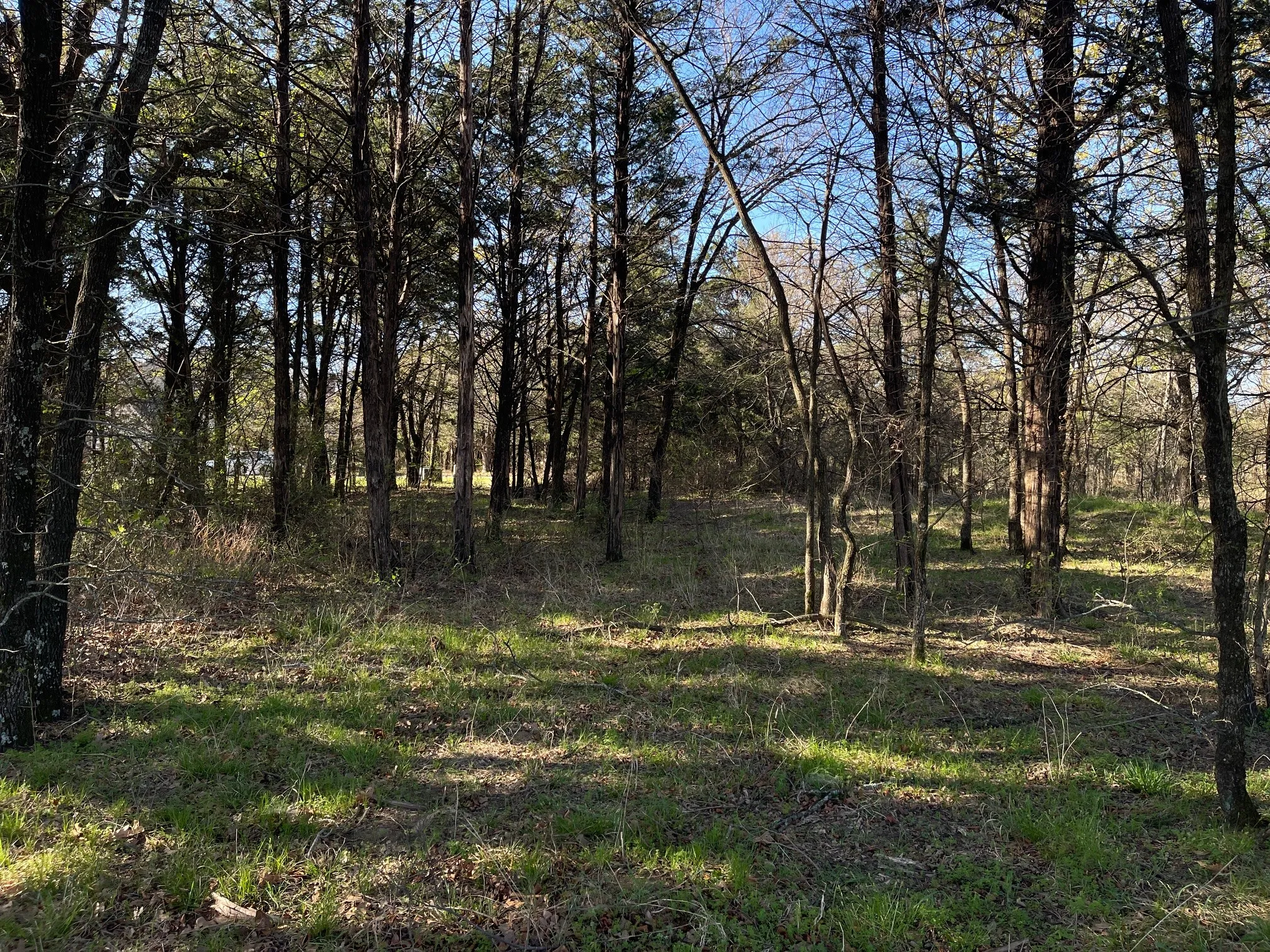 Unimproved Land For Sale in Grayson County , Lot 101A Stonewolf Court, Gordonville, Texas 76245, 0, 0, Garage spaces, 0 Sqft, built in 0, mls#21161197, Real Estate Agent in Gordonville, Homes For Sale in Grayson county, Homes For Sale in Gordonville, Realtor in Gordonville Texas, Real Estate Brokerage Independent Realty Texas, Luminita Cordes Realtor