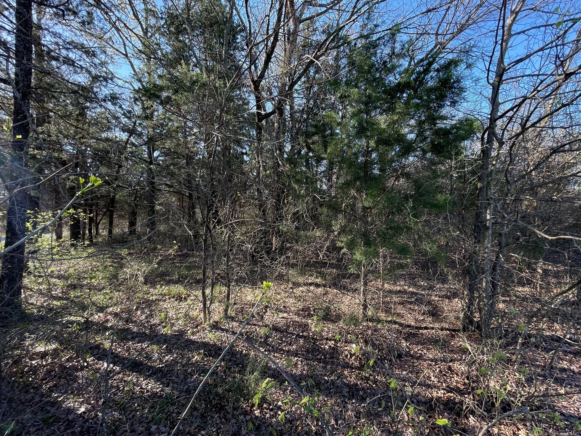 Unimproved Land For Sale in Grayson County , Lot 101A Stonewolf Court, Gordonville, Texas 76245, 0, 0, Garage spaces, 0 Sqft, built in 0, mls#21161197, Real Estate Agent in Gordonville, Homes For Sale in Grayson county, Homes For Sale in Gordonville, Realtor in Gordonville Texas, Real Estate Brokerage Independent Realty Texas, Luminita Cordes Realtor