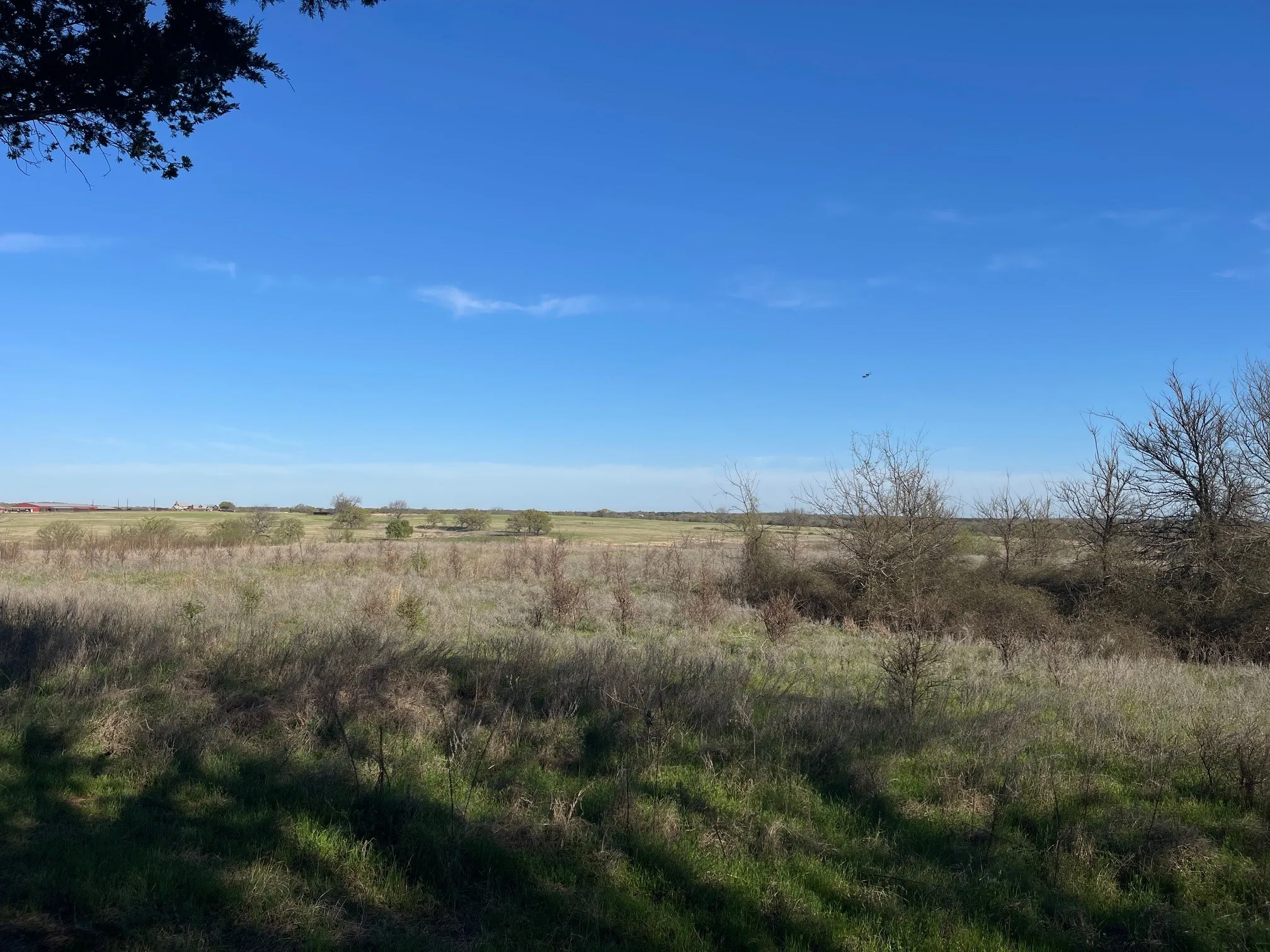 Unimproved Land For Sale in Grayson County , Lot 101A Stonewolf Court, Gordonville, Texas 76245, 0, 0, Garage spaces, 0 Sqft, built in 0, mls#21161197, Real Estate Agent in Gordonville, Homes For Sale in Grayson county, Homes For Sale in Gordonville, Realtor in Gordonville Texas, Real Estate Brokerage Independent Realty Texas, Luminita Cordes Realtor
