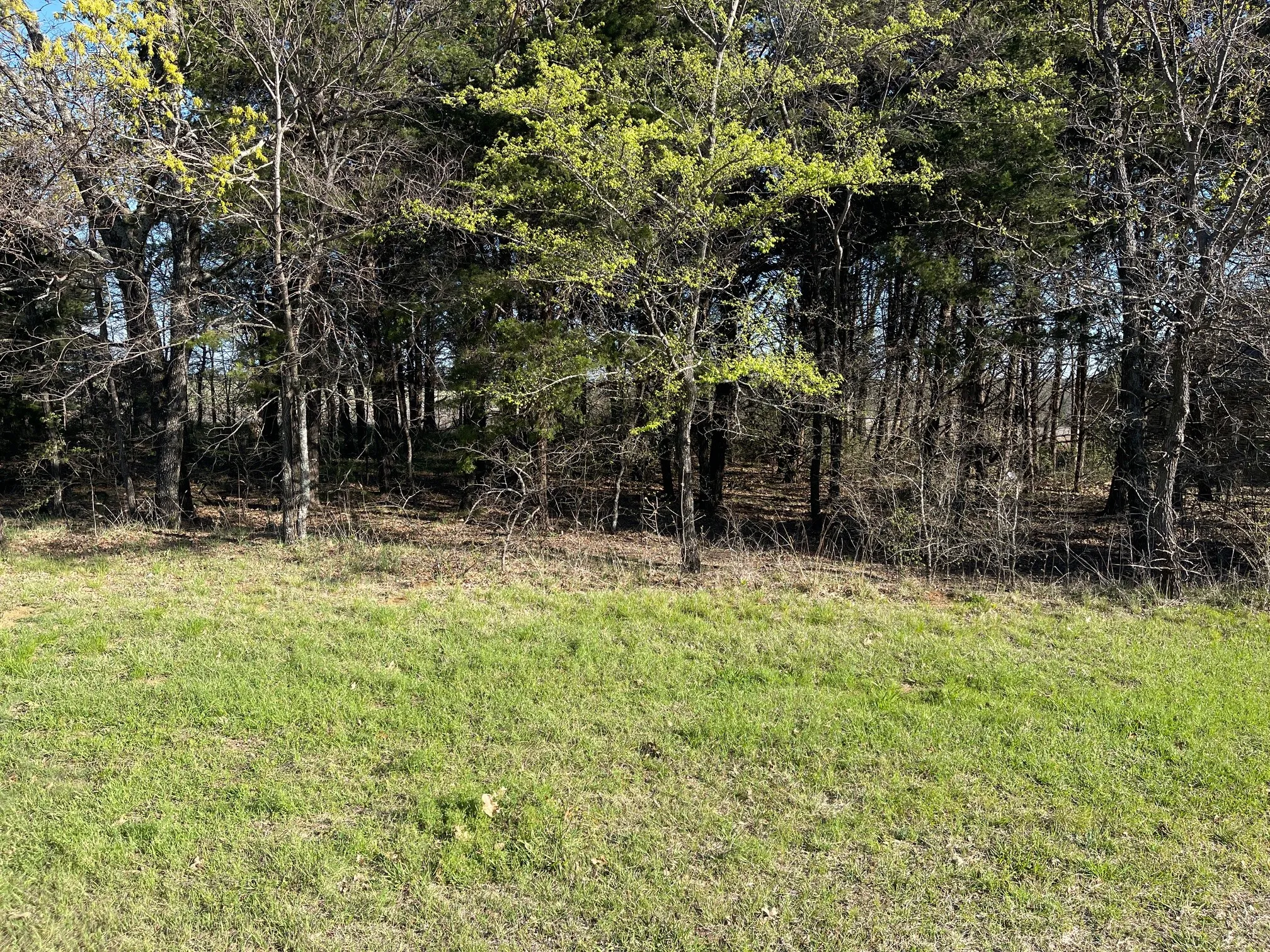 Unimproved Land For Sale in Grayson County , Lot 101A Stonewolf Court, Gordonville, Texas 76245, 0, 0, Garage spaces, 0 Sqft, built in 0, mls#21161197, Real Estate Agent in Gordonville, Homes For Sale in Grayson county, Homes For Sale in Gordonville, Realtor in Gordonville Texas, Real Estate Brokerage Independent Realty Texas, Luminita Cordes Realtor