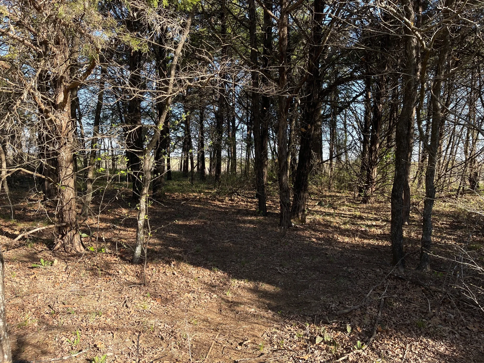 Unimproved Land For Sale in Grayson County , Lot 101A Stonewolf Court, Gordonville, Texas 76245, 0, 0, Garage spaces, 0 Sqft, built in 0, mls#21161197, Real Estate Agent in Gordonville, Homes For Sale in Grayson county, Homes For Sale in Gordonville, Realtor in Gordonville Texas, Real Estate Brokerage Independent Realty Texas, Luminita Cordes Realtor