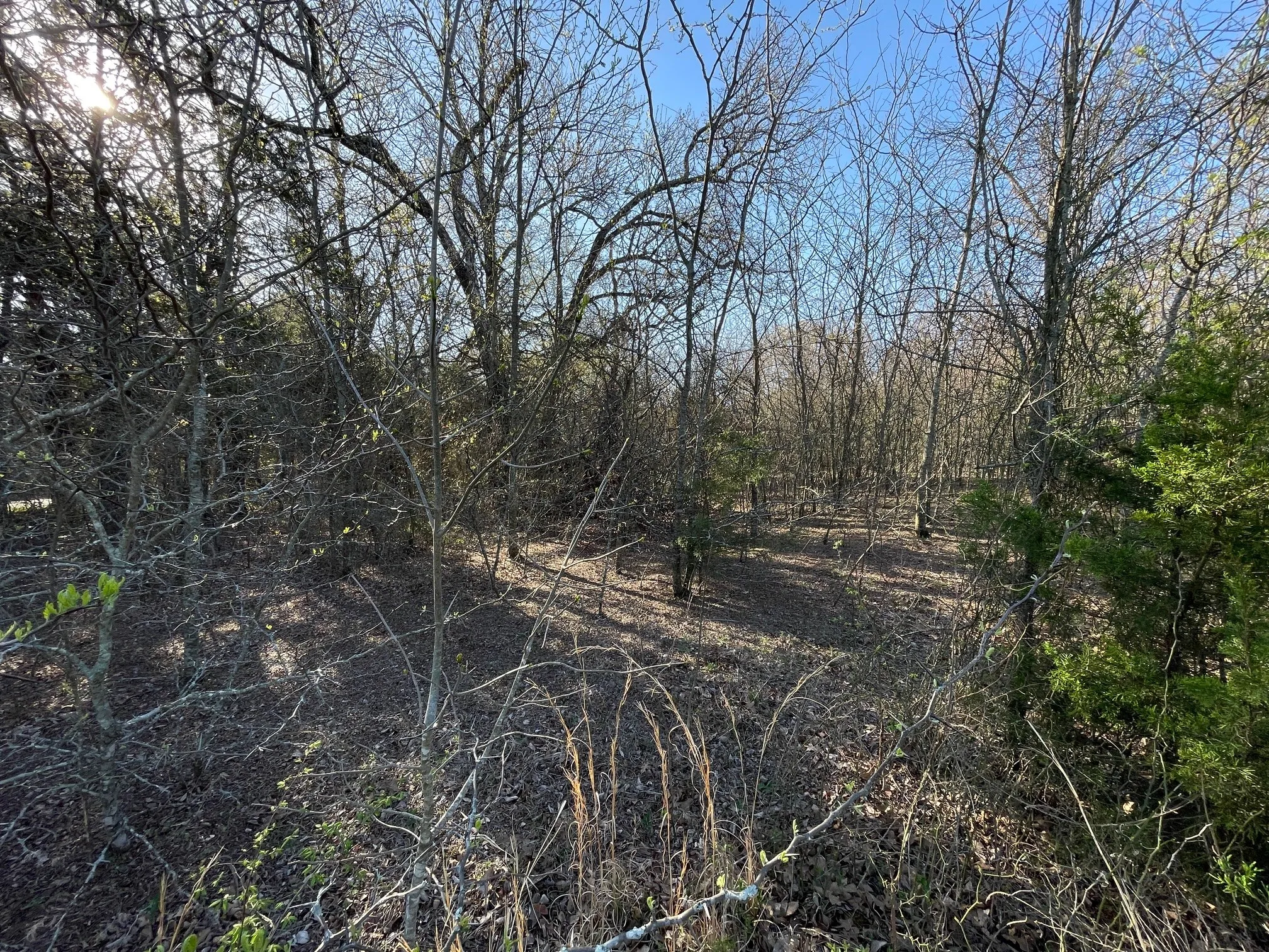 Unimproved Land For Sale in Grayson County , Lot 101A Stonewolf Court, Gordonville, Texas 76245, 0, 0, Garage spaces, 0 Sqft, built in 0, mls#21161197, Real Estate Agent in Gordonville, Homes For Sale in Grayson county, Homes For Sale in Gordonville, Realtor in Gordonville Texas, Real Estate Brokerage Independent Realty Texas, Luminita Cordes Realtor