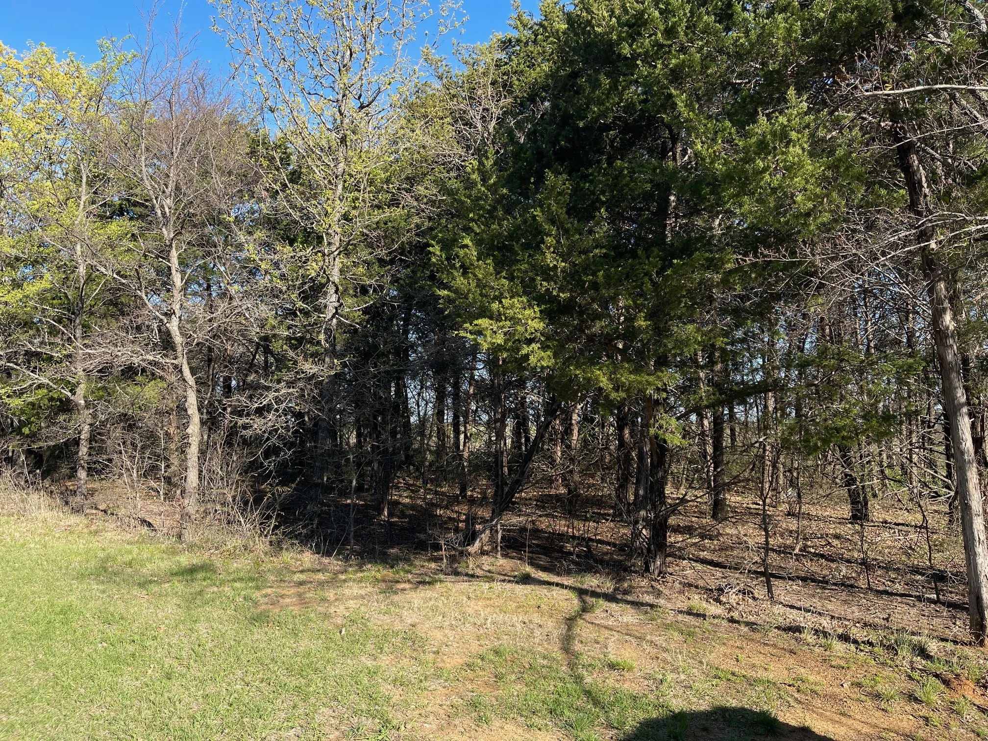 Unimproved Land For Sale in Grayson County , Lot 101A Stonewolf Court, Gordonville, Texas 76245, 0, 0, Garage spaces, 0 Sqft, built in 0, mls#21161197, Real Estate Agent in Gordonville, Homes For Sale in Grayson county, Homes For Sale in Gordonville, Realtor in Gordonville Texas, Real Estate Brokerage Independent Realty Texas, Luminita Cordes Realtor