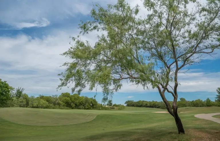 Frisco Lakes Golf Course