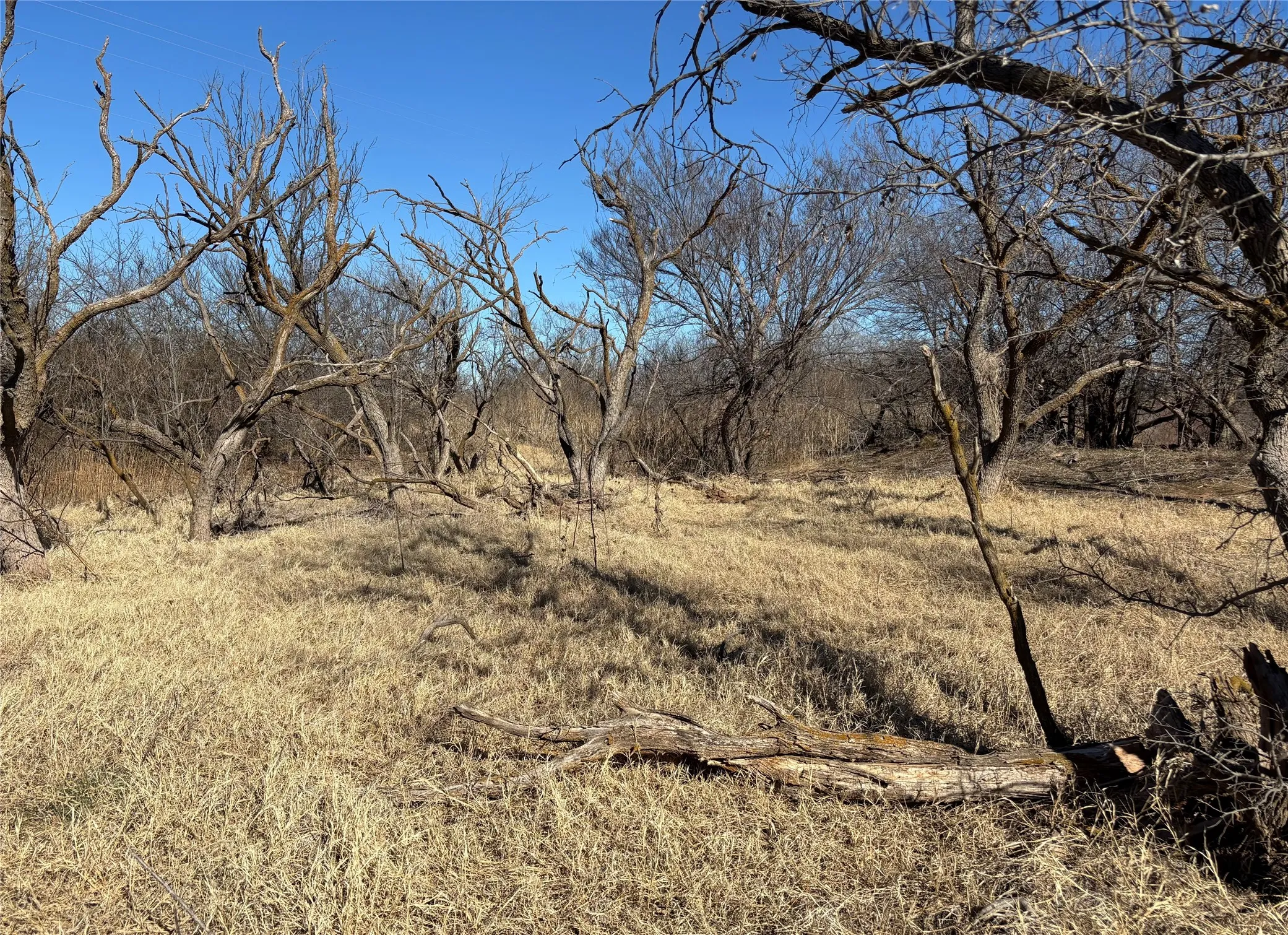 Unimproved Land For Sale in Wichita County , 0 Hacker, Iowa Park, Texas 76367, 0, 0, Garage spaces, 0 Sqft, built in 0, mls#21161172, Real Estate Agent in Iowa Park, Homes For Sale in Wichita county, Homes For Sale in Iowa Park, Realtor in Iowa Park Texas, Real Estate Brokerage Independent Realty Texas, Luminita Cordes Realtor