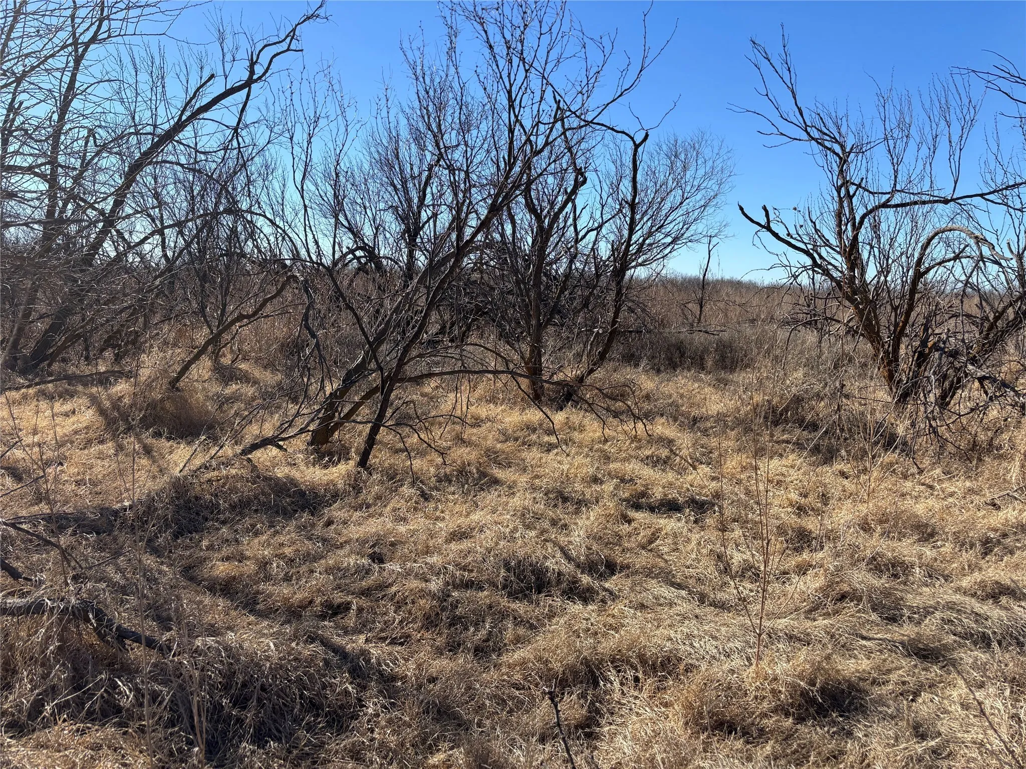 Unimproved Land For Sale in Wichita County , 0 Hacker, Iowa Park, Texas 76367, 0, 0, Garage spaces, 0 Sqft, built in 0, mls#21161172, Real Estate Agent in Iowa Park, Homes For Sale in Wichita county, Homes For Sale in Iowa Park, Realtor in Iowa Park Texas, Real Estate Brokerage Independent Realty Texas, Luminita Cordes Realtor