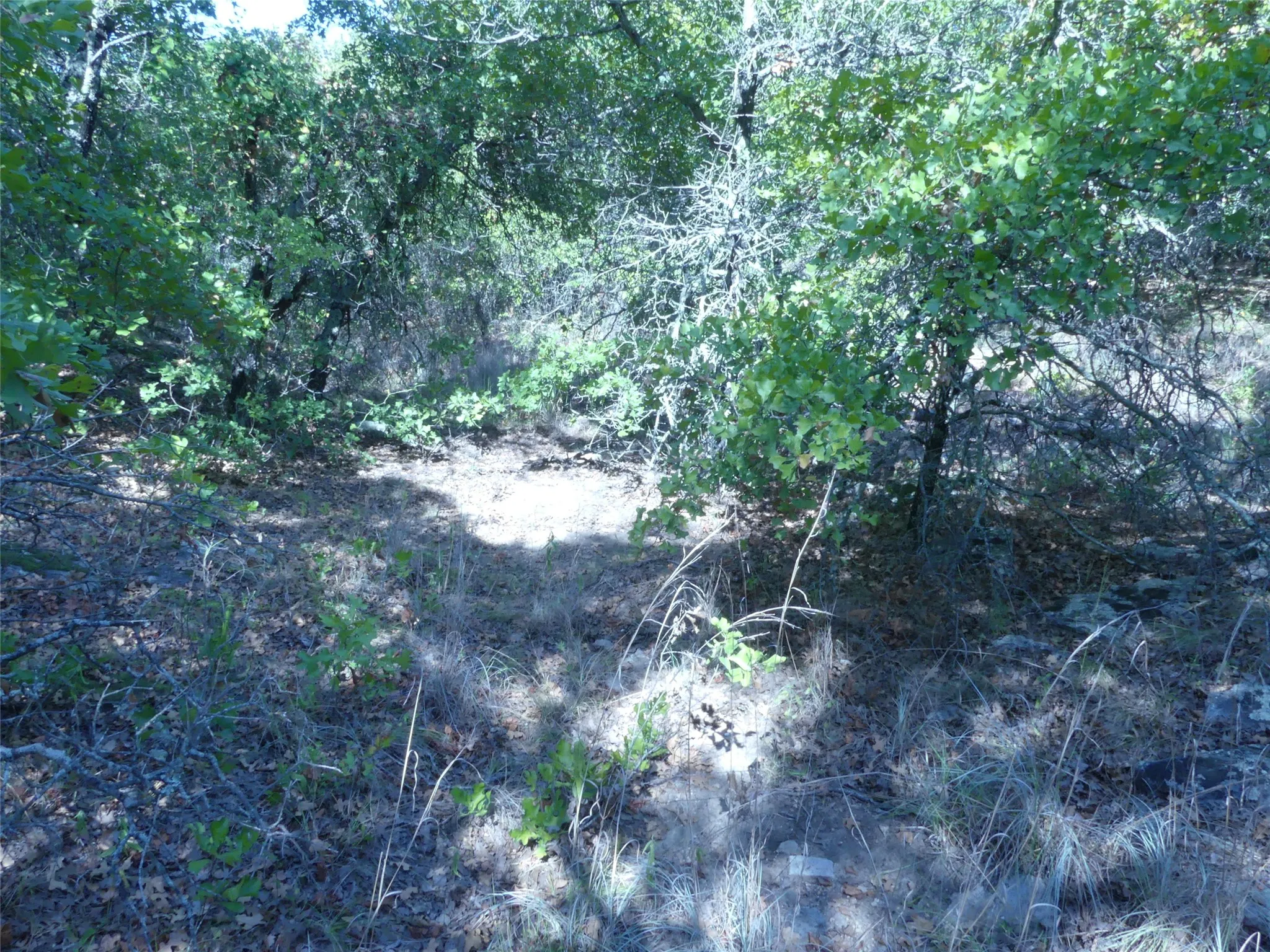 Single Family Residence For Sale in Montague County , 1746 Dog Kennel Road, Sunset, Texas 76270, 0, 0, 2 Garage spaces, 9,999 Sqft, built in 2022, mls#21161712, Real Estate Agent in Sunset, Homes For Sale in Montague county, Homes For Sale in Sunset, Realtor in Sunset Texas, Real Estate Brokerage Independent Realty Texas, Luminita Cordes Realtor