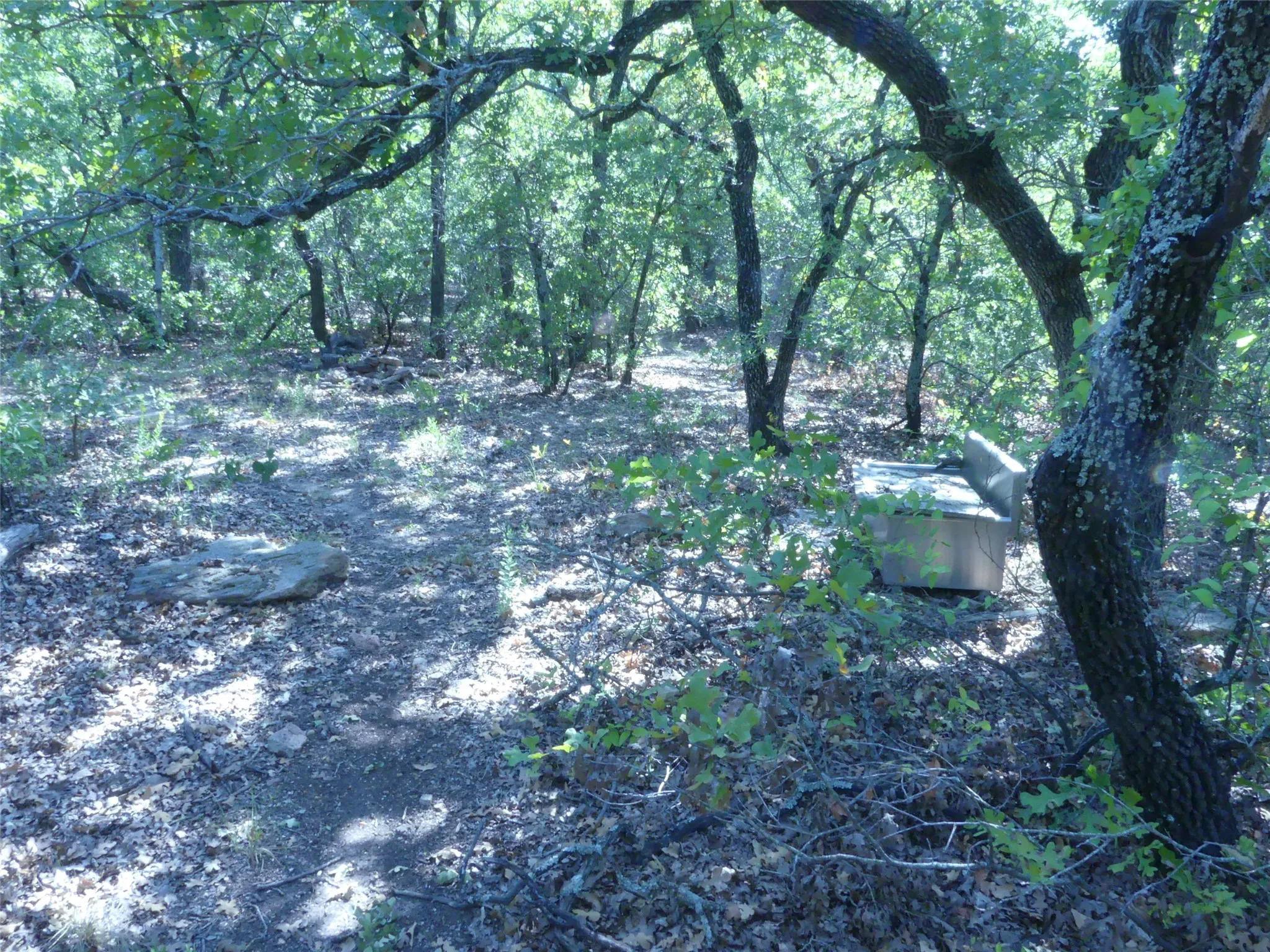 Single Family Residence For Sale in Montague County , 1746 Dog Kennel Road, Sunset, Texas 76270, 0, 0, 2 Garage spaces, 9,999 Sqft, built in 2022, mls#21161712, Real Estate Agent in Sunset, Homes For Sale in Montague county, Homes For Sale in Sunset, Realtor in Sunset Texas, Real Estate Brokerage Independent Realty Texas, Luminita Cordes Realtor