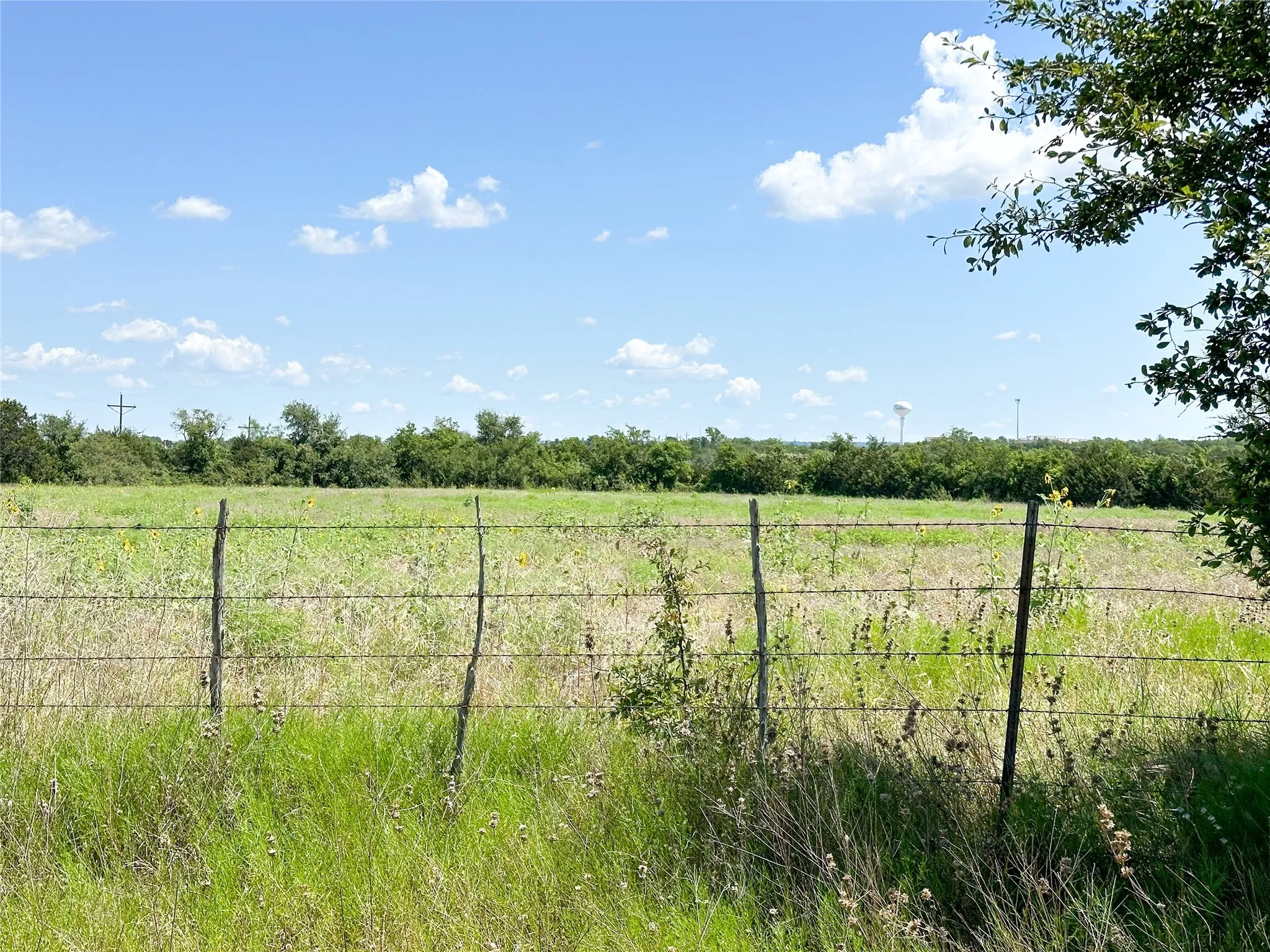Unimproved Land For Sale in Coryell County , 911 Old Pidcoke, Gatesville, Texas 76528, 0, 0, Garage spaces, 0 Sqft, built in 0, Price $1,788,293, mls#21158226, Real Estate Agent in Gatesville, Homes For Sale in Coryell county, Homes For Sale in Gatesville, Realtor in Gatesville Texas, Real Estate Brokerage Independent Realty Texas, Luminita Cordes Realtor