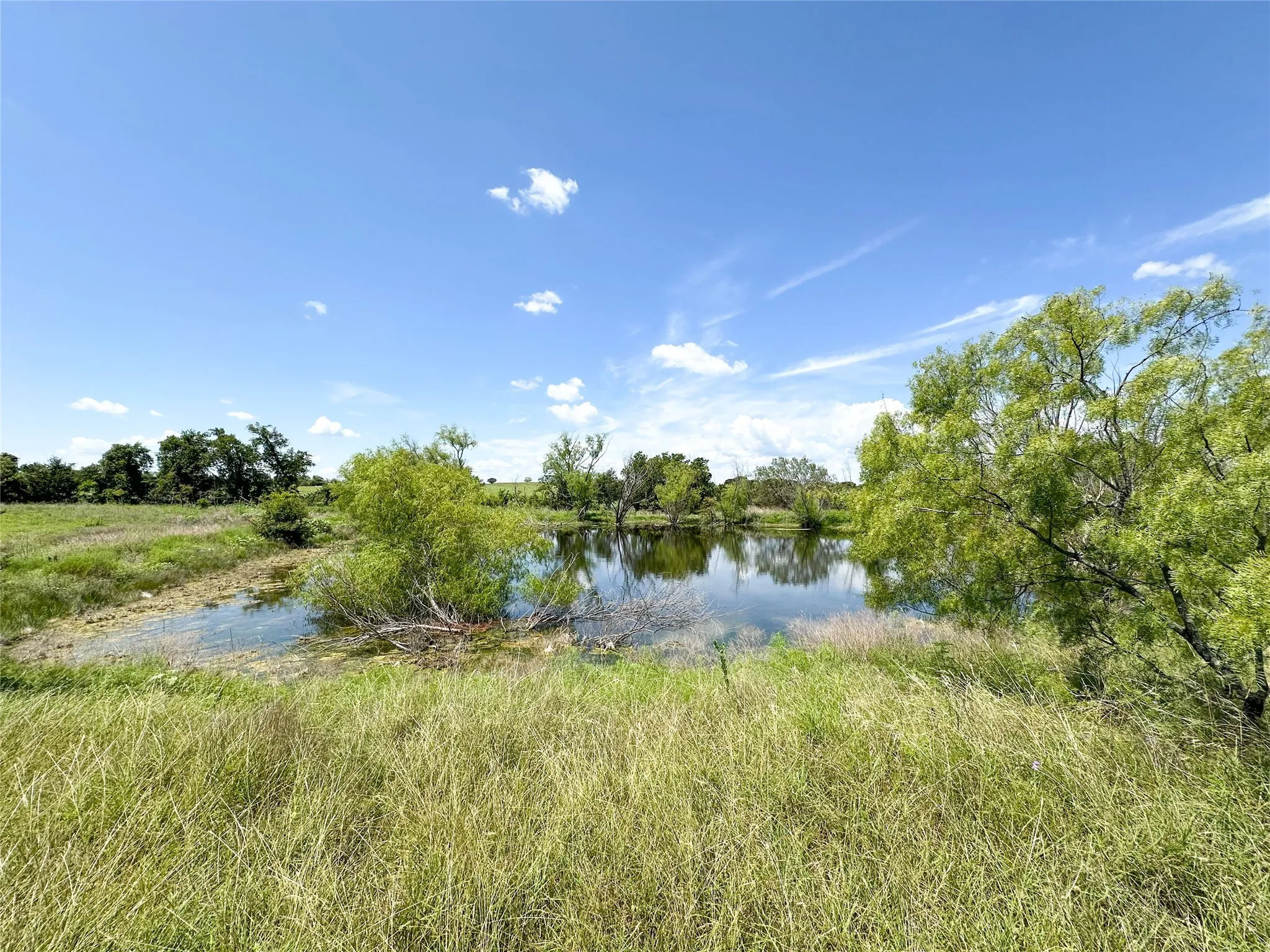Unimproved Land For Sale in Coryell County , 201 FM-116, Gatesville, Texas 76528, 0, 0, Garage spaces, 0 Sqft, built in 0, Price $3,988,293, mls#21158206, Real Estate Agent in Gatesville, Homes For Sale in Coryell county, Homes For Sale in Gatesville, Realtor in Gatesville Texas, Real Estate Brokerage Independent Realty Texas, Luminita Cordes Realtor