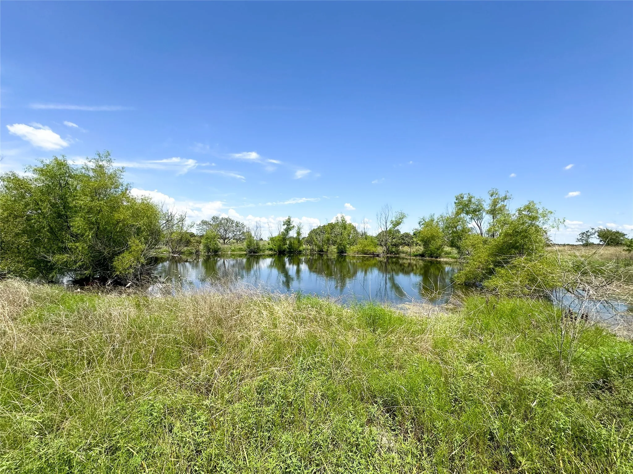 Unimproved Land For Sale in Coryell County , 201 FM-116, Gatesville, Texas 76528, 0, 0, Garage spaces, 0 Sqft, built in 0, Price $3,988,293, mls#21158206, Real Estate Agent in Gatesville, Homes For Sale in Coryell county, Homes For Sale in Gatesville, Realtor in Gatesville Texas, Real Estate Brokerage Independent Realty Texas, Luminita Cordes Realtor