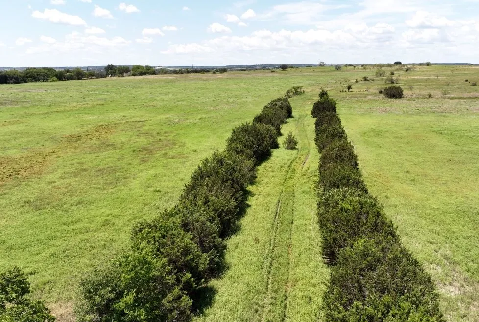 Unimproved Land For Sale in Coryell County , 201 FM-116, Gatesville, Texas 76528, 0, 0, Garage spaces, 0 Sqft, built in 0, Price $3,988,293, mls#21158206, Real Estate Agent in Gatesville, Homes For Sale in Coryell county, Homes For Sale in Gatesville, Realtor in Gatesville Texas, Real Estate Brokerage Independent Realty Texas, Luminita Cordes Realtor