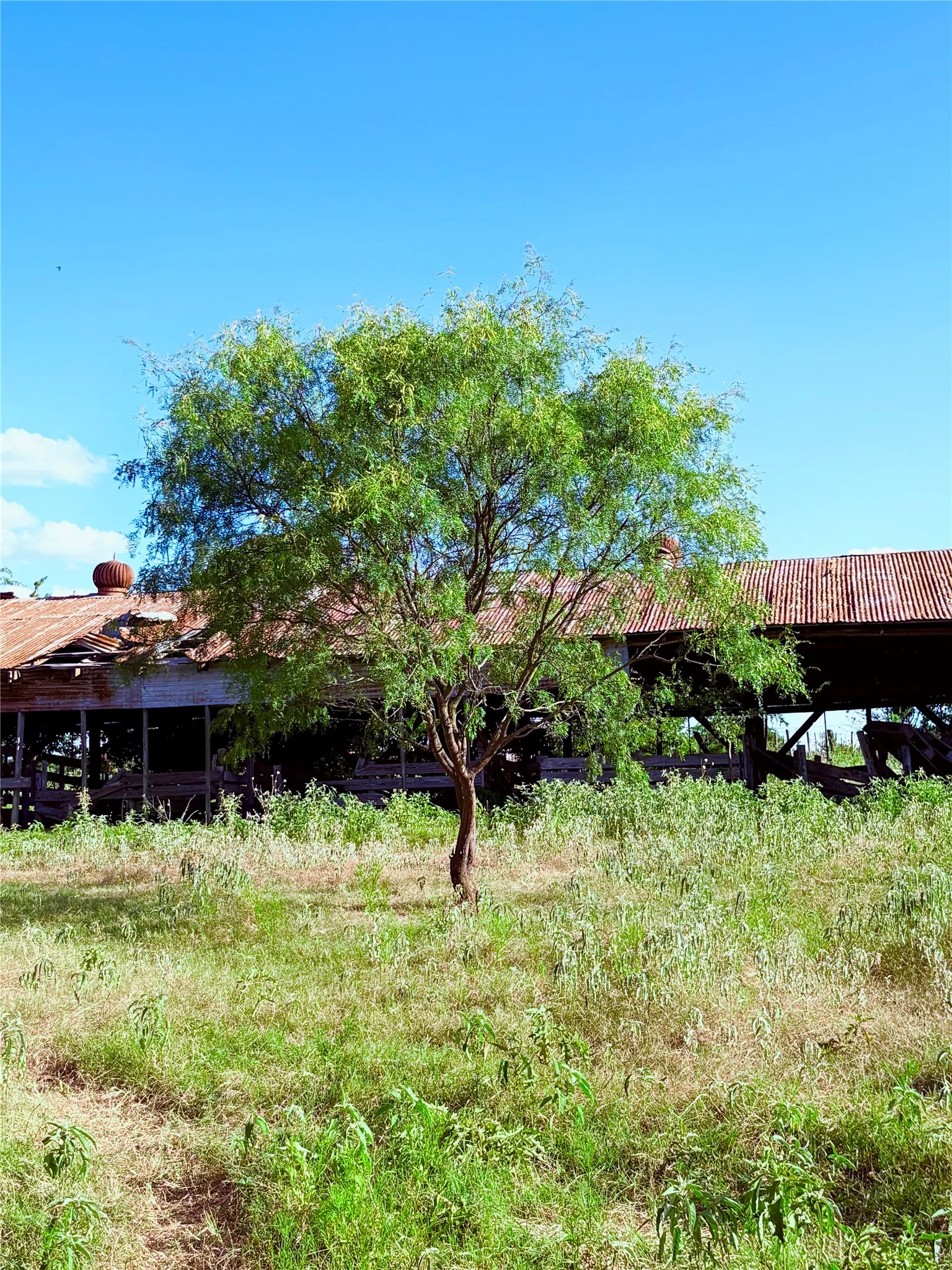 Improved Land For Sale in Falls County , 101 County Road 101, Marlin, Texas 76661, 0, 0, Garage spaces, 0 Sqft, built in 0, Price $205,000, mls#21162022, Real Estate Agent in Marlin, Homes For Sale in Falls county, Homes For Sale in Marlin, Realtor in Marlin Texas, Real Estate Brokerage Independent Realty Texas, Luminita Cordes Realtor