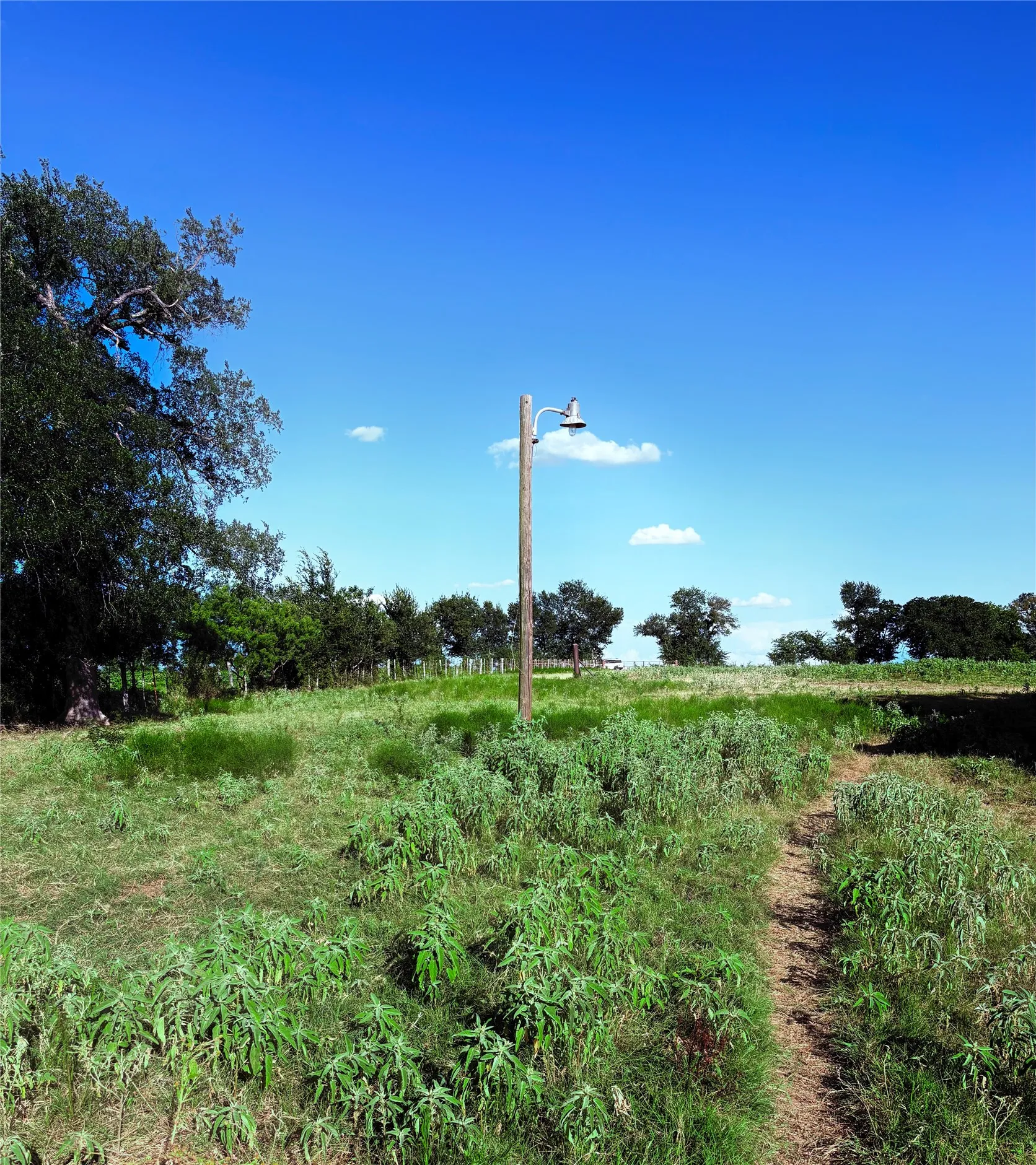 Improved Land For Sale in Falls County , 101 County Road 101, Marlin, Texas 76661, 0, 0, Garage spaces, 0 Sqft, built in 0, Price $205,000, mls#21162022, Real Estate Agent in Marlin, Homes For Sale in Falls county, Homes For Sale in Marlin, Realtor in Marlin Texas, Real Estate Brokerage Independent Realty Texas, Luminita Cordes Realtor