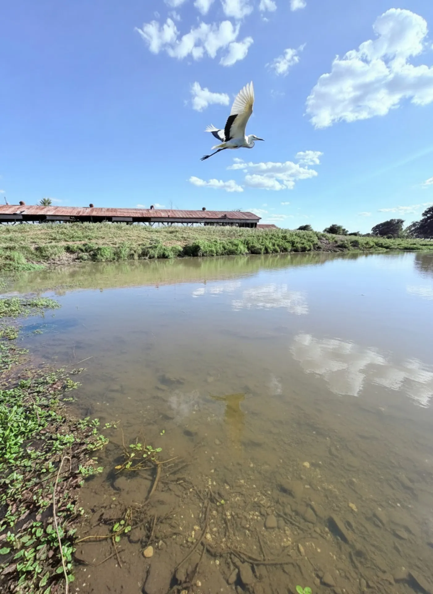 Improved Land For Sale in Falls County , 101 County Road 101, Marlin, Texas 76661, 0, 0, Garage spaces, 0 Sqft, built in 0, Price $205,000, mls#21162022, Real Estate Agent in Marlin, Homes For Sale in Falls county, Homes For Sale in Marlin, Realtor in Marlin Texas, Real Estate Brokerage Independent Realty Texas, Luminita Cordes Realtor