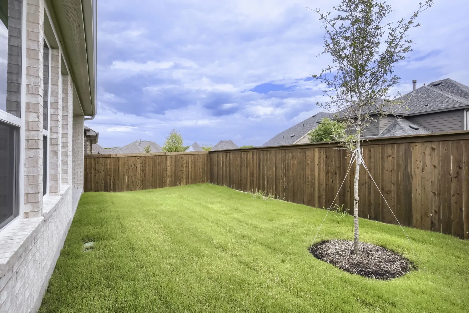 Expansive green lawn featuring a young tree with a mulched base