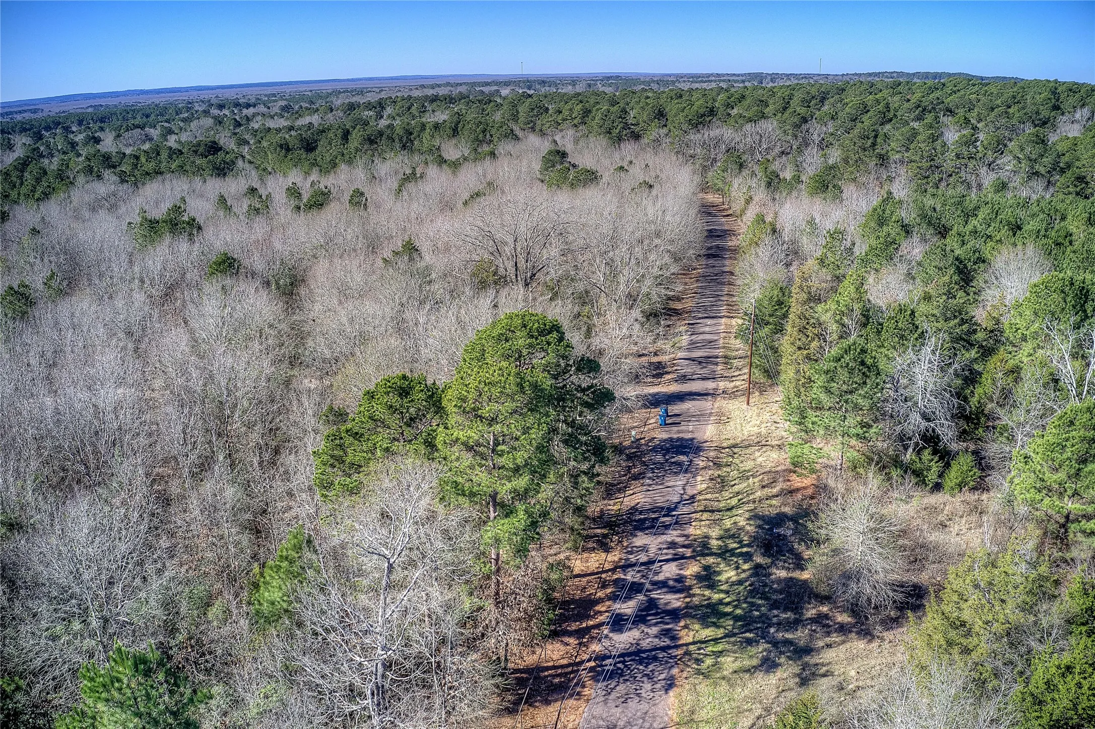 Unimproved Land For Sale in Wood County , TBD County Road 3460, Hawkins, Texas 75765, 0, 0, Garage spaces, 0 Sqft, built in 0, mls#21158491, Real Estate Agent in Hawkins, Homes For Sale in Wood county, Homes For Sale in Hawkins, Realtor in Hawkins Texas, Real Estate Brokerage Independent Realty Texas, Luminita Cordes Realtor