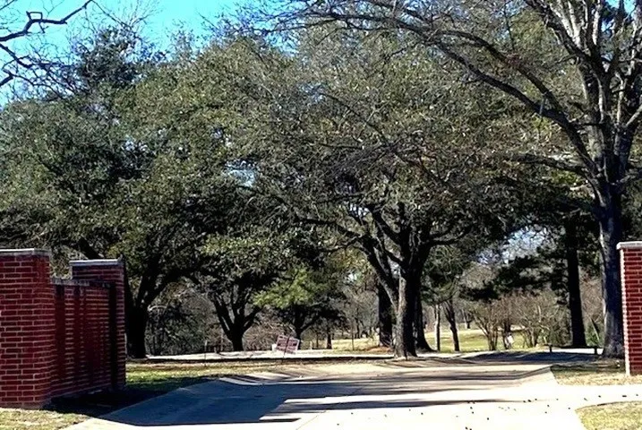 Unimproved Land For Sale in Henderson County , Lot 8 Belmont Drive, Athens, Texas 75751, 0, 0, Garage spaces, 0 Sqft, built in 0, Price $130,000, mls#21162437, Real Estate Agent in Athens, Homes For Sale in Henderson county, Homes For Sale in Athens, Realtor in Athens Texas, Real Estate Brokerage Independent Realty Texas, Luminita Cordes Realtor