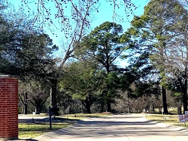 Unimproved Land For Sale in Henderson County , Lot 7 Belmont Drive, Athens, Texas 75751, 0, 0, Garage spaces, 0 Sqft, built in 0, Price $150,000, mls#21162441, Real Estate Agent in Athens, Homes For Sale in Henderson county, Homes For Sale in Athens, Realtor in Athens Texas, Real Estate Brokerage Independent Realty Texas, Luminita Cordes Realtor