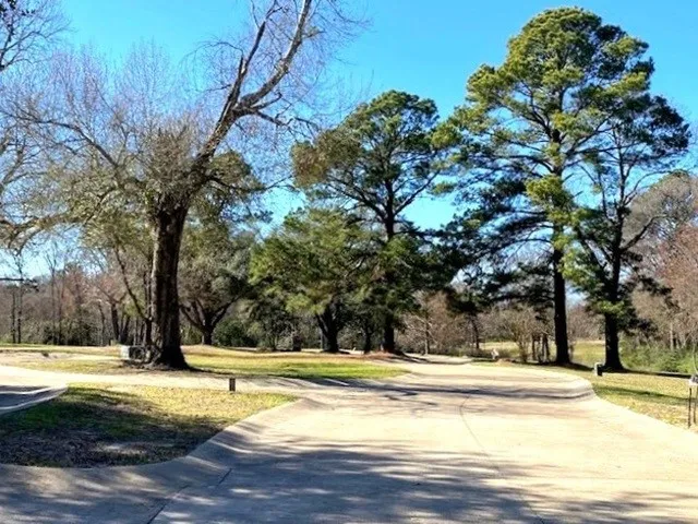 Unimproved Land For Sale in Henderson County , Lot 4 Belmont Drive, Athens, Texas 75751, 0, 0, Garage spaces, 0 Sqft, built in 0, Price $125,000, mls#21162452, Real Estate Agent in Athens, Homes For Sale in Henderson county, Homes For Sale in Athens, Realtor in Athens Texas, Real Estate Brokerage Independent Realty Texas, Luminita Cordes Realtor