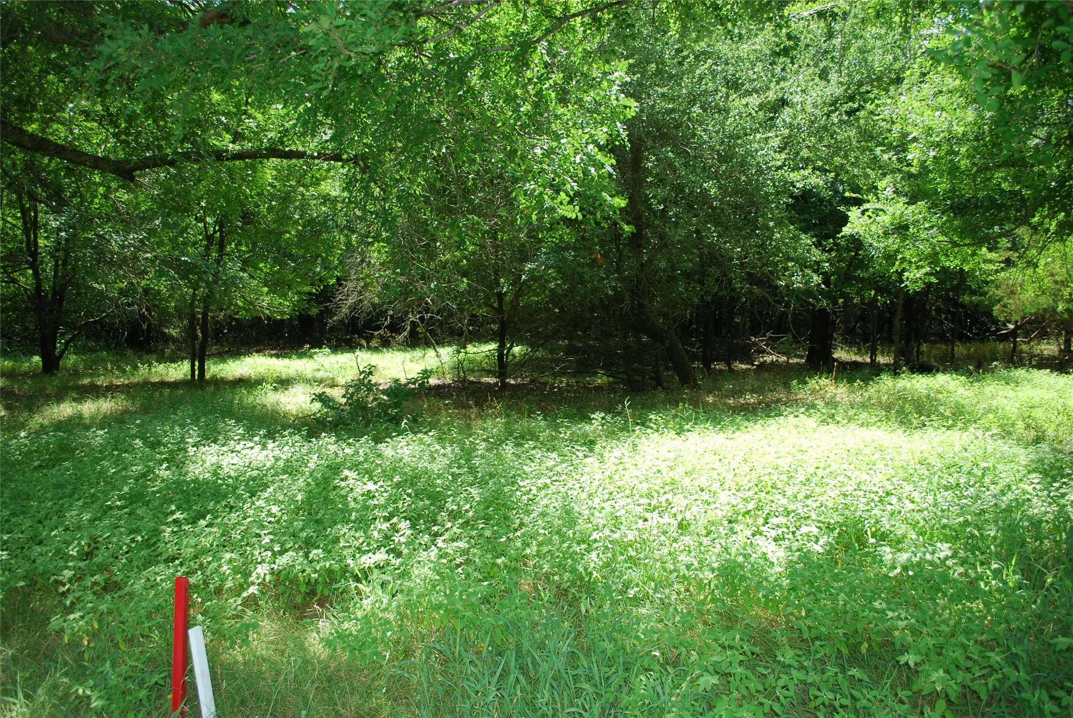 Unimproved Land For Sale in Hill County , 15013 Golf Drive, Whitney, Texas 76692, 0, 0, Garage spaces, 0 Sqft, built in 0, Price $10,000, mls#21161108, Real Estate Agent in Whitney, Homes For Sale in Hill county, Homes For Sale in Whitney, Realtor in Whitney Texas, Real Estate Brokerage Independent Realty Texas, Luminita Cordes Realtor