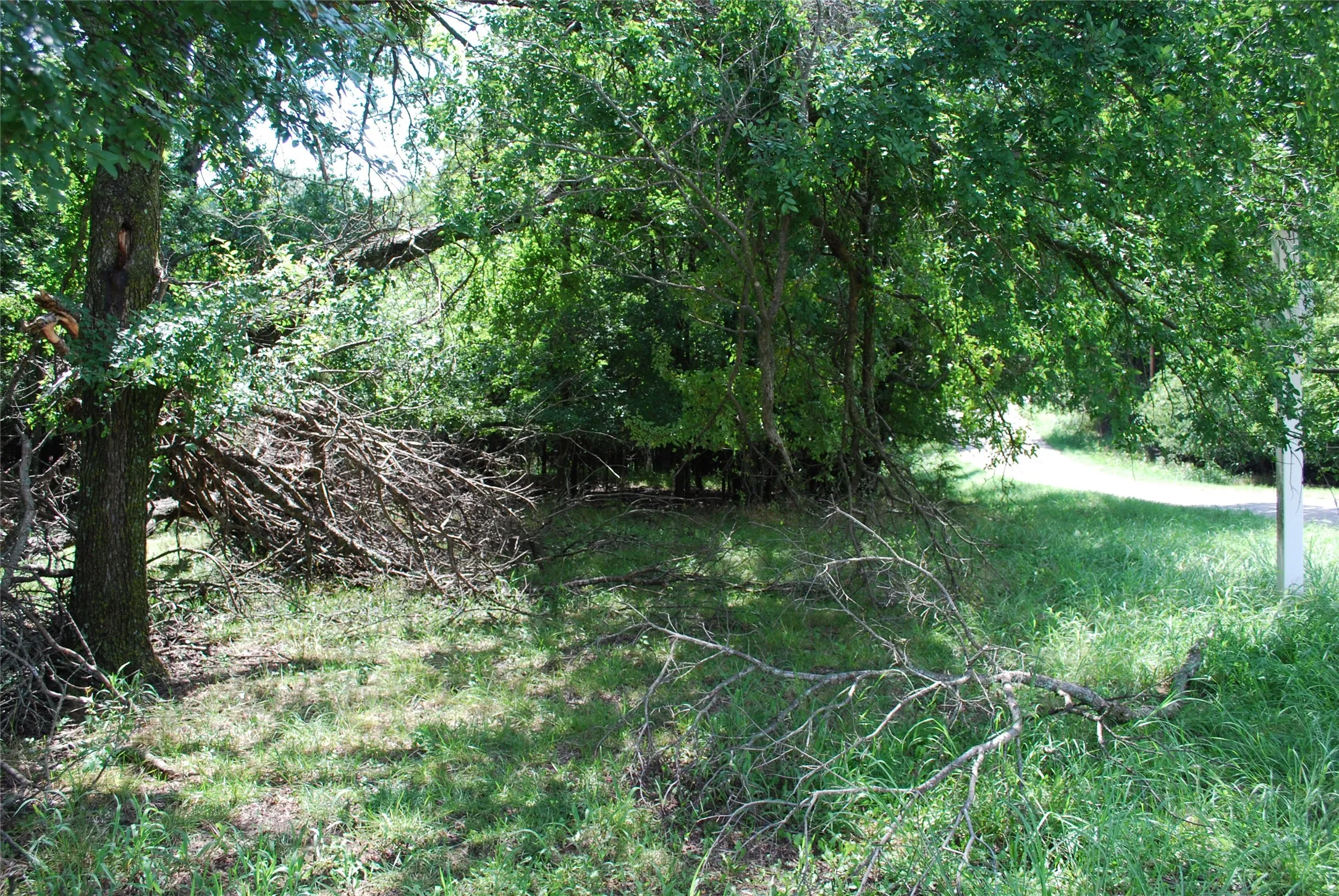 Unimproved Land For Sale in Hill County , 15013 Golf Drive, Whitney, Texas 76692, 0, 0, Garage spaces, 0 Sqft, built in 0, Price $10,000, mls#21161108, Real Estate Agent in Whitney, Homes For Sale in Hill county, Homes For Sale in Whitney, Realtor in Whitney Texas, Real Estate Brokerage Independent Realty Texas, Luminita Cordes Realtor