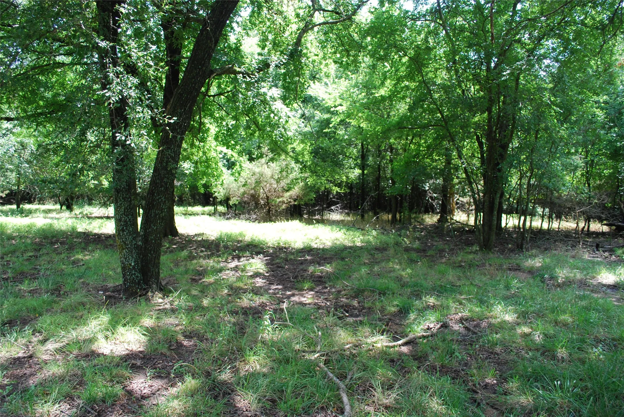 Unimproved Land For Sale in Hill County , 15013 Golf Drive, Whitney, Texas 76692, 0, 0, Garage spaces, 0 Sqft, built in 0, Price $10,000, mls#21161108, Real Estate Agent in Whitney, Homes For Sale in Hill county, Homes For Sale in Whitney, Realtor in Whitney Texas, Real Estate Brokerage Independent Realty Texas, Luminita Cordes Realtor