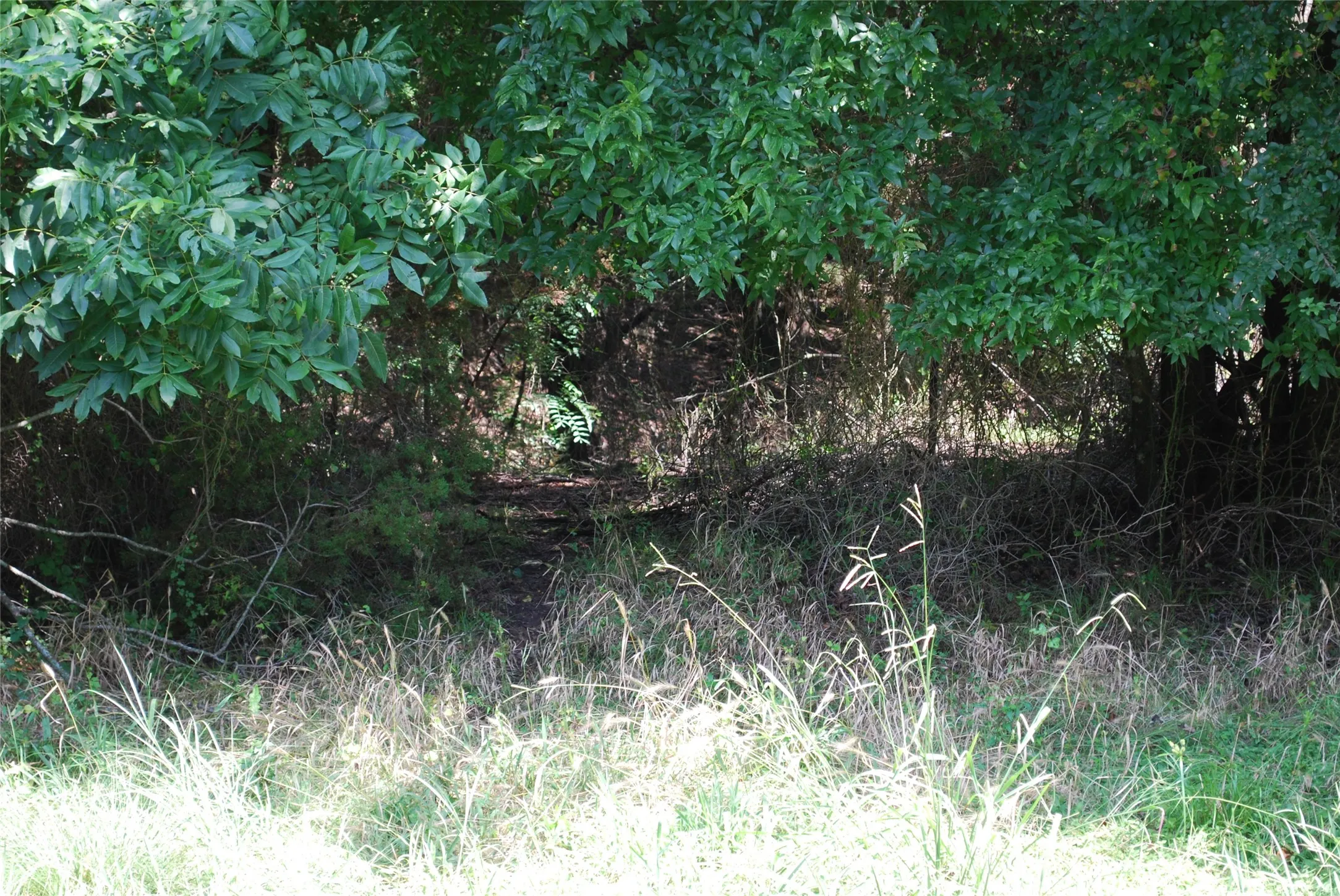 Unimproved Land For Sale in Hill County , 15013 Golf Drive, Whitney, Texas 76692, 0, 0, Garage spaces, 0 Sqft, built in 0, Price $10,000, mls#21161108, Real Estate Agent in Whitney, Homes For Sale in Hill county, Homes For Sale in Whitney, Realtor in Whitney Texas, Real Estate Brokerage Independent Realty Texas, Luminita Cordes Realtor