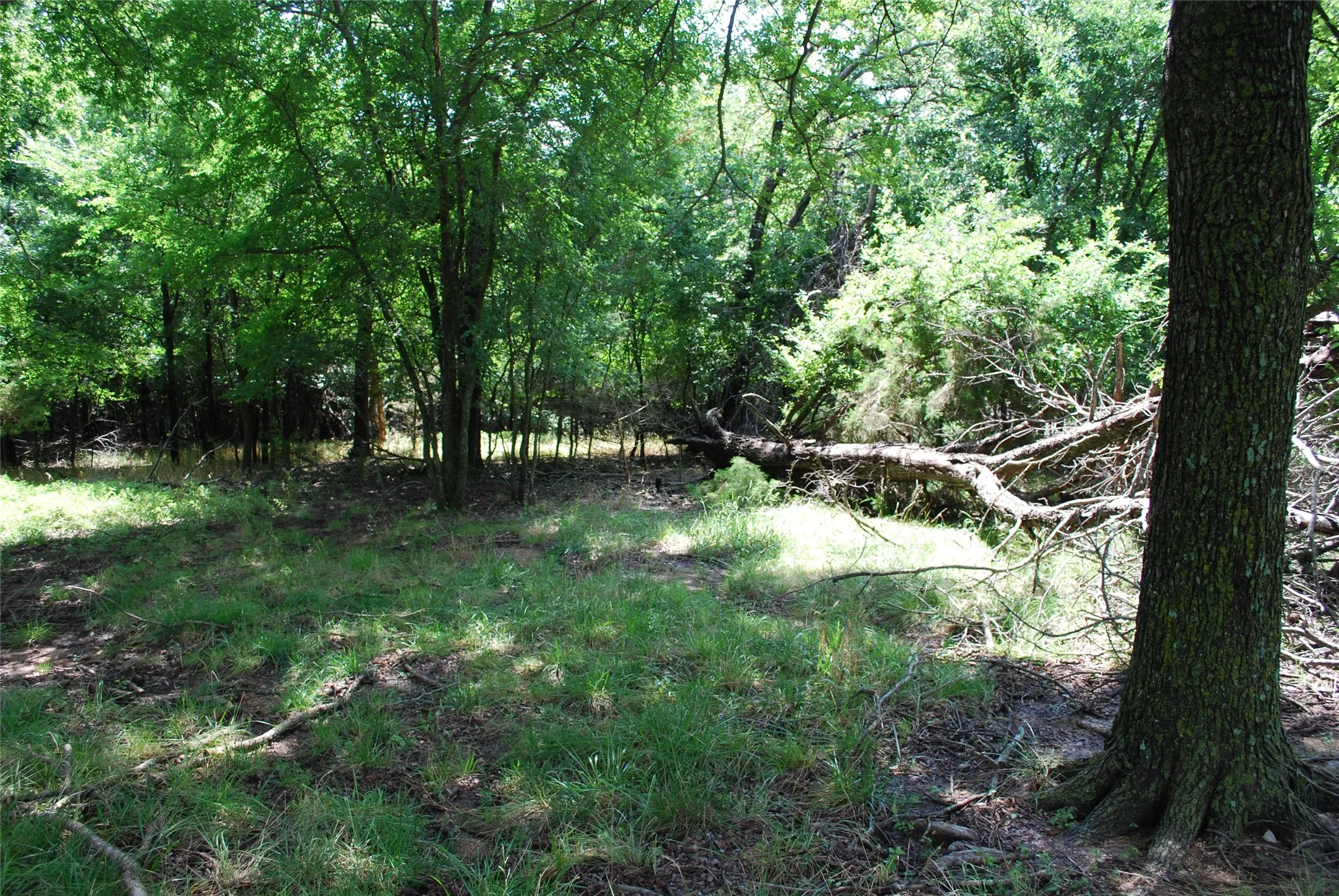 Unimproved Land For Sale in Hill County , 15013 Golf Drive, Whitney, Texas 76692, 0, 0, Garage spaces, 0 Sqft, built in 0, Price $10,000, mls#21161108, Real Estate Agent in Whitney, Homes For Sale in Hill county, Homes For Sale in Whitney, Realtor in Whitney Texas, Real Estate Brokerage Independent Realty Texas, Luminita Cordes Realtor