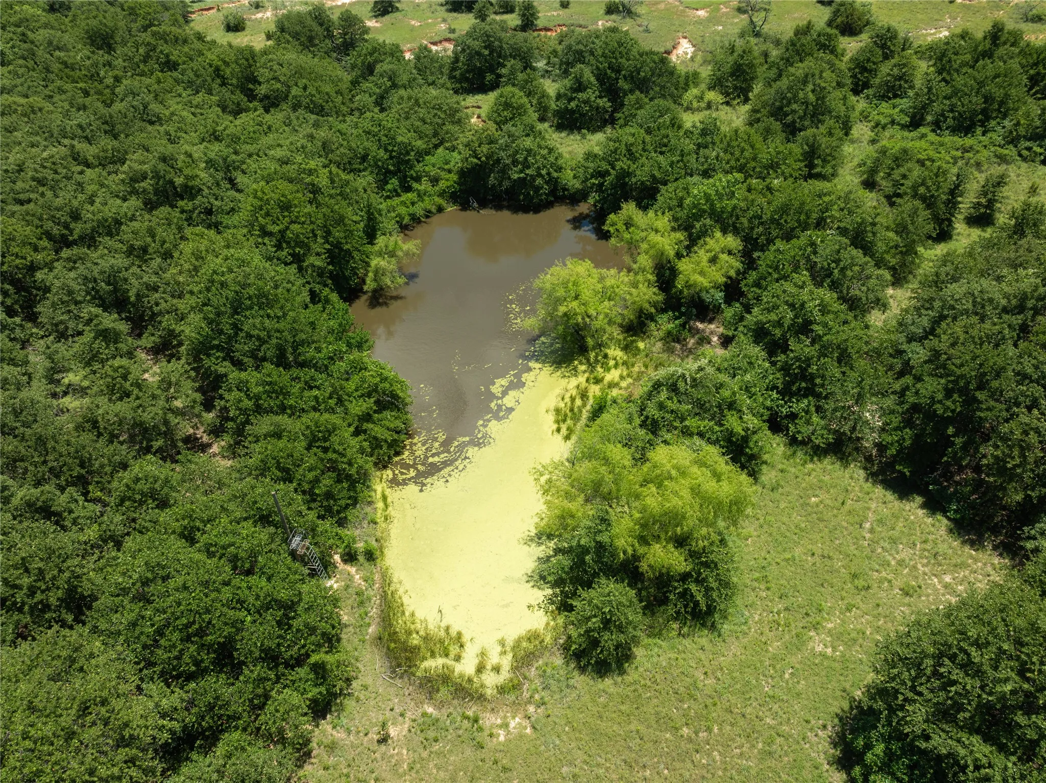 Unimproved Land For Sale in Parker County , 000 Turpin Lake Road, Poolville, Texas 76487, 0, 0, Garage spaces, 0 Sqft, built in 0, Price $756,000, mls#21161935, Real Estate Agent in Poolville, Homes For Sale in Parker county, Homes For Sale in Poolville, Realtor in Poolville Texas, Real Estate Brokerage Independent Realty Texas, Luminita Cordes Realtor