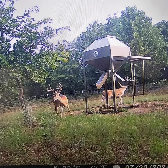 Unimproved Land For Sale in Parker County , 000 Turpin Lake Road, Poolville, Texas 76487, 0, 0, Garage spaces, 0 Sqft, built in 0, Price $756,000, mls#21161935, Real Estate Agent in Poolville, Homes For Sale in Parker county, Homes For Sale in Poolville, Realtor in Poolville Texas, Real Estate Brokerage Independent Realty Texas, Luminita Cordes Realtor