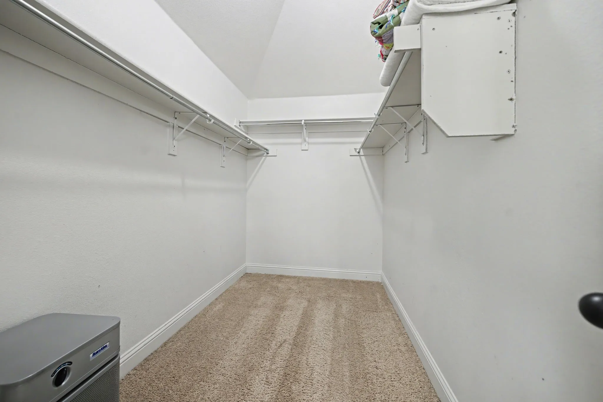 Spacious closet featuring light colored carpet