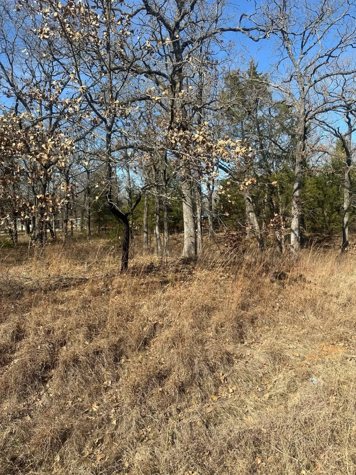 View of undeveloped land