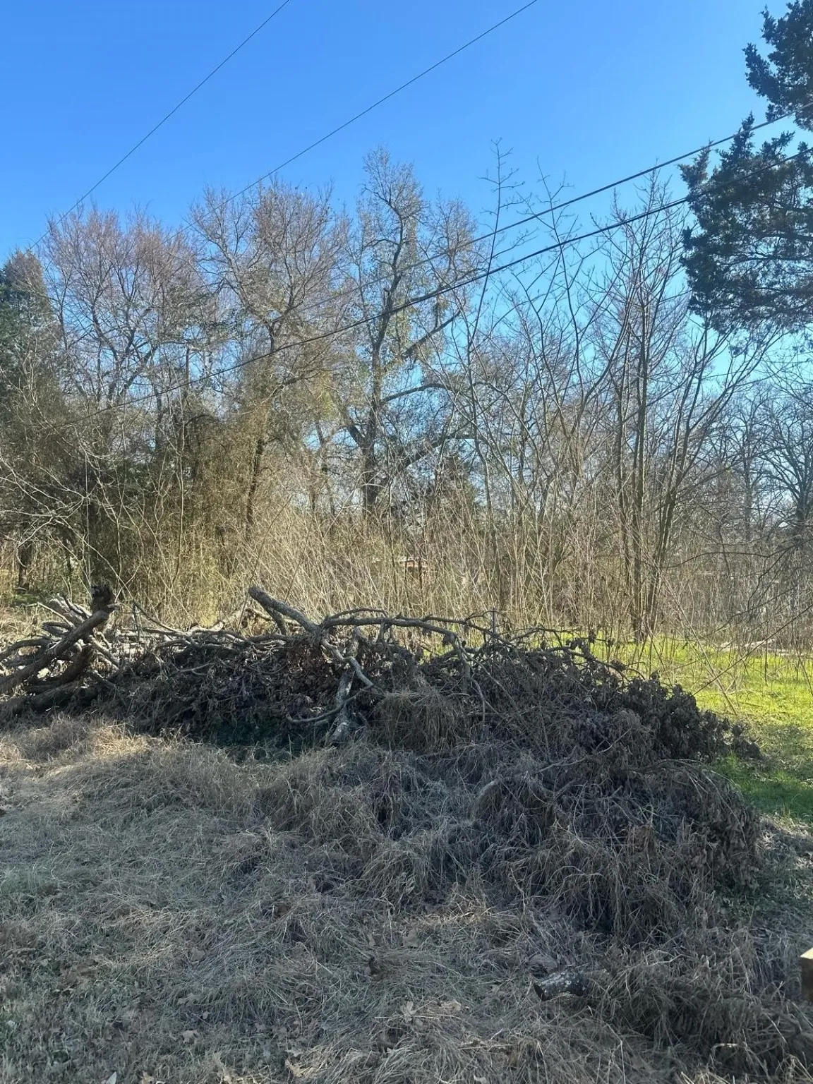 View of undeveloped land
