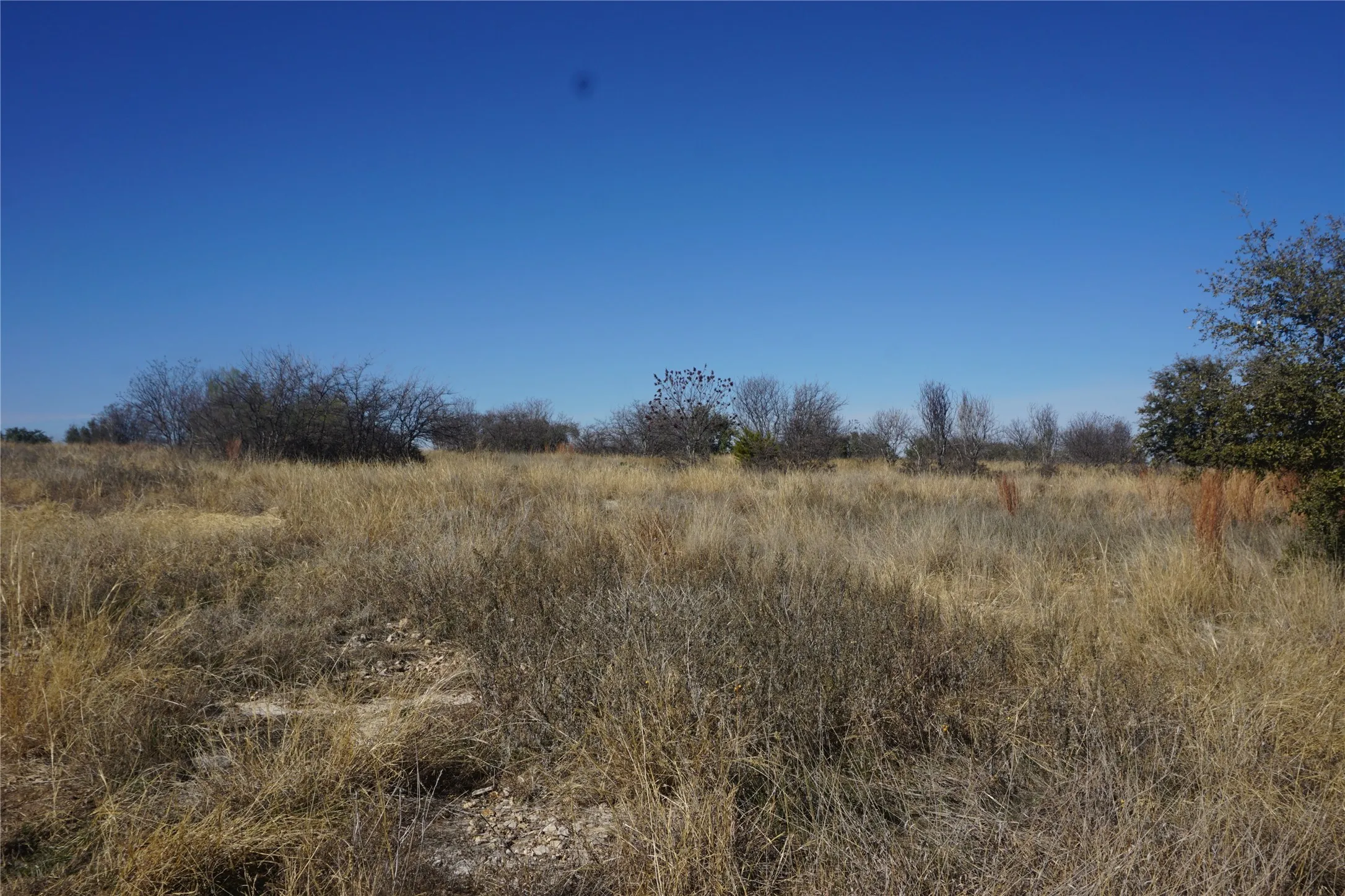 The lot will green up nicely in the Spring but it is fairly level.  Best to come out and walk on it.