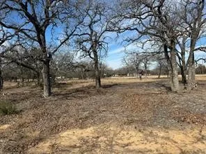 Improved Land For Sale in Somervell County , TBD CR 2030, Glen Rose, Texas 76043, 0, 0, Garage spaces, 0 Sqft, built in 0, mls#21162947, Real Estate Agent in Glen Rose, Homes For Sale in Somervell county, Homes For Sale in Glen Rose, Realtor in Glen Rose Texas, Real Estate Brokerage Independent Realty Texas, Luminita Cordes Realtor
