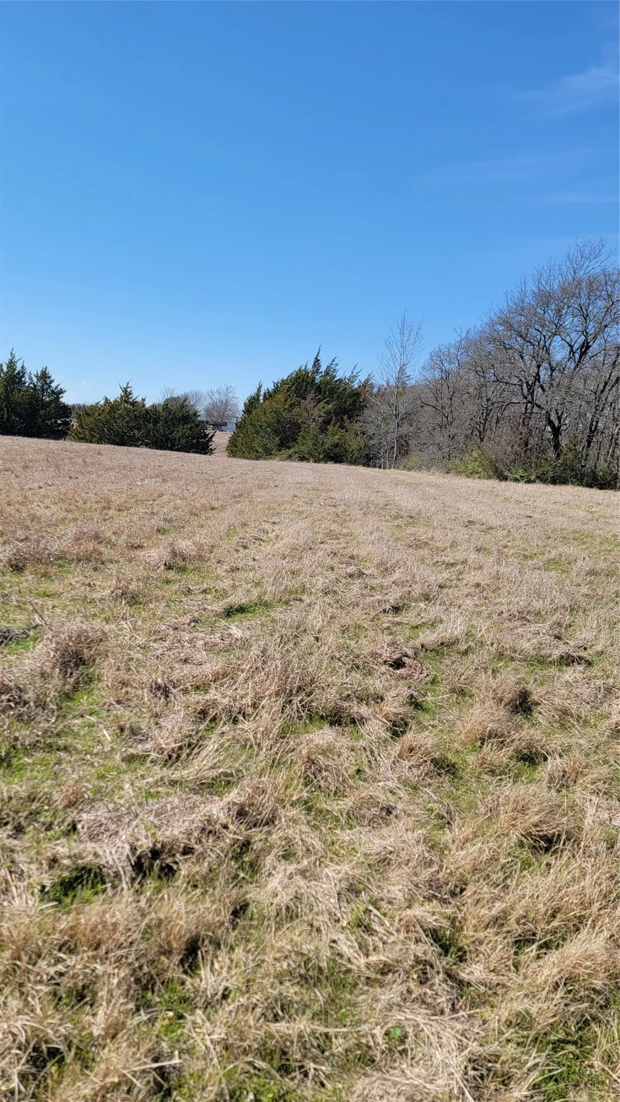 Unimproved Land For Sale in Ellis County , 655 Ewing Road, Ferris, Texas 75125, 0, 0, Garage spaces, 0 Sqft, built in 0, mls#21163282, Real Estate Agent in Ferris, Homes For Sale in Ellis county, Homes For Sale in Ferris, Realtor in Ferris Texas, Real Estate Brokerage Independent Realty Texas, Luminita Cordes Realtor