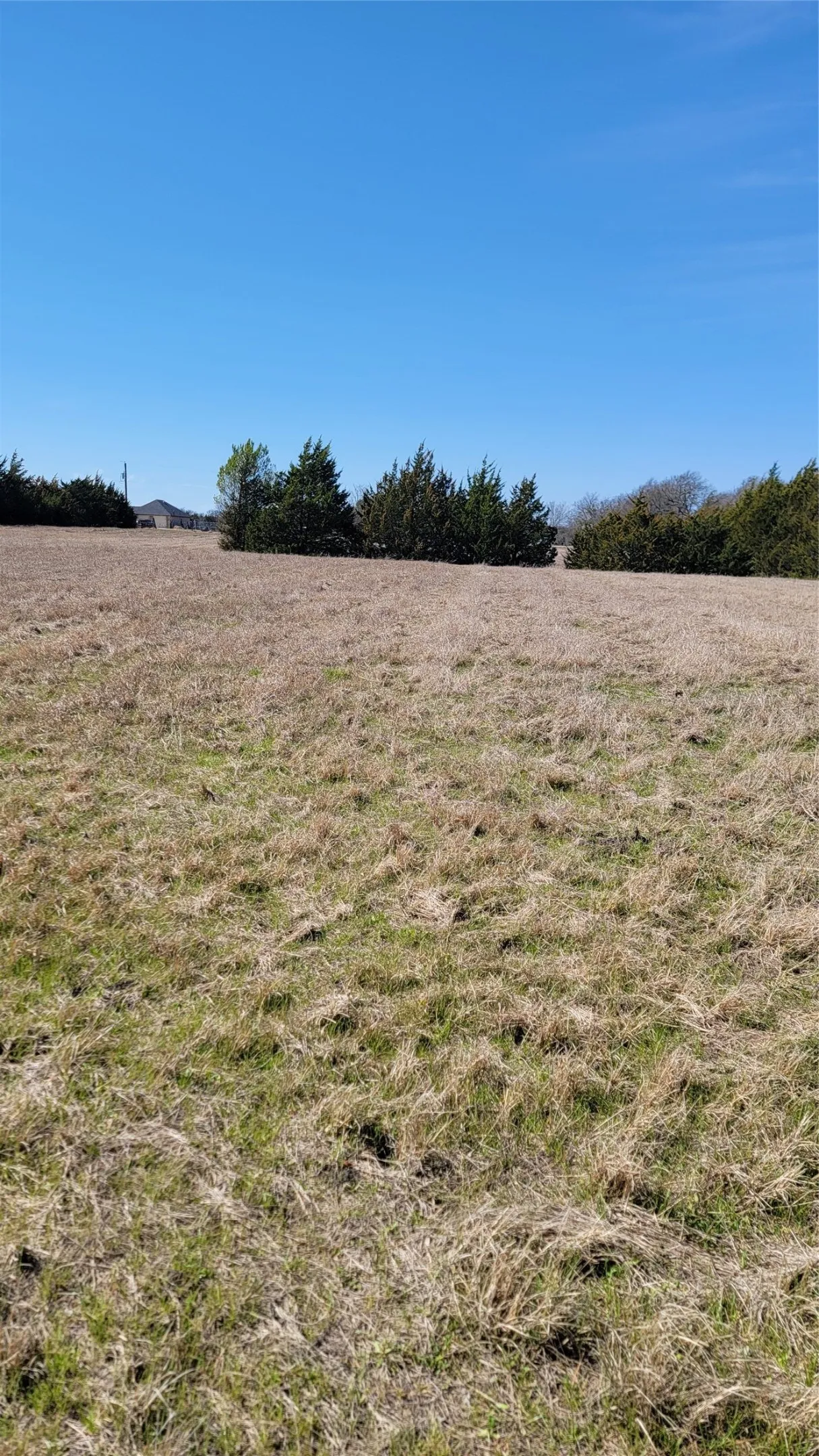 Unimproved Land For Sale in Ellis County , 655 Ewing Road, Ferris, Texas 75125, 0, 0, Garage spaces, 0 Sqft, built in 0, mls#21163282, Real Estate Agent in Ferris, Homes For Sale in Ellis county, Homes For Sale in Ferris, Realtor in Ferris Texas, Real Estate Brokerage Independent Realty Texas, Luminita Cordes Realtor