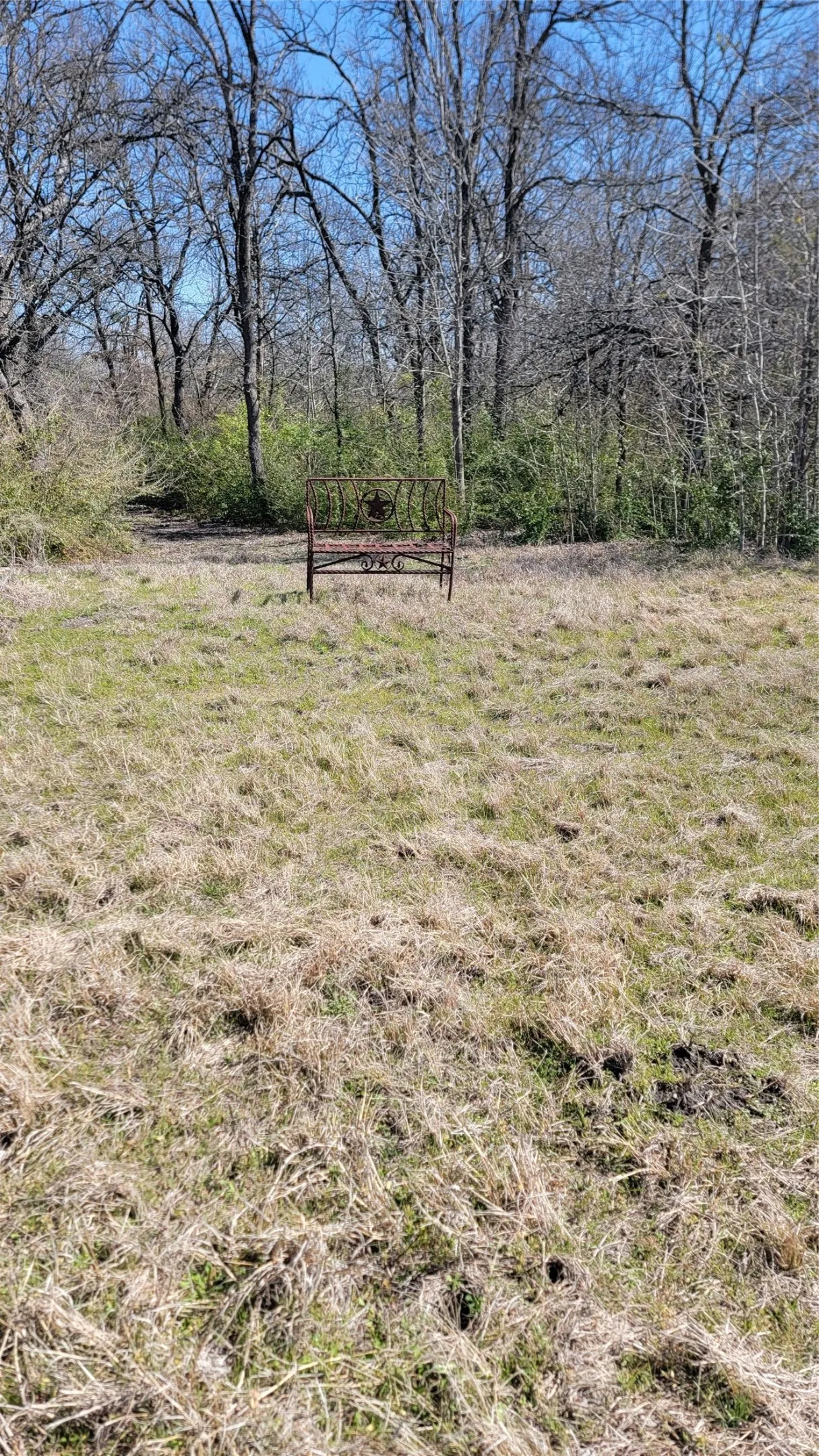 Edge of the woods.