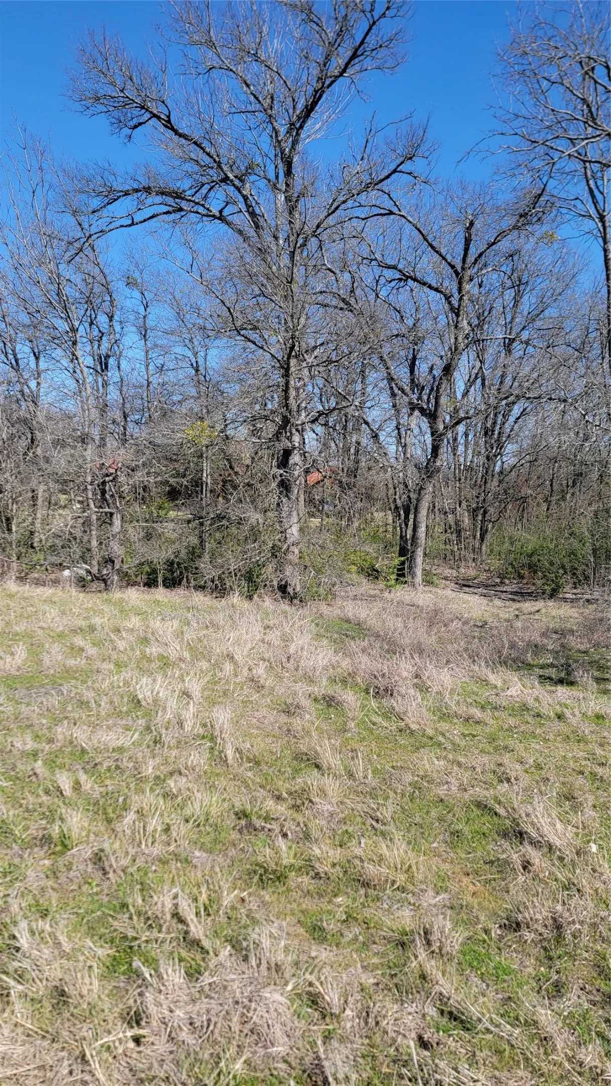 Unimproved Land For Sale in Ellis County , 655 Ewing Road, Ferris, Texas 75125, 0, 0, Garage spaces, 0 Sqft, built in 0, mls#21163282, Real Estate Agent in Ferris, Homes For Sale in Ellis county, Homes For Sale in Ferris, Realtor in Ferris Texas, Real Estate Brokerage Independent Realty Texas, Luminita Cordes Realtor