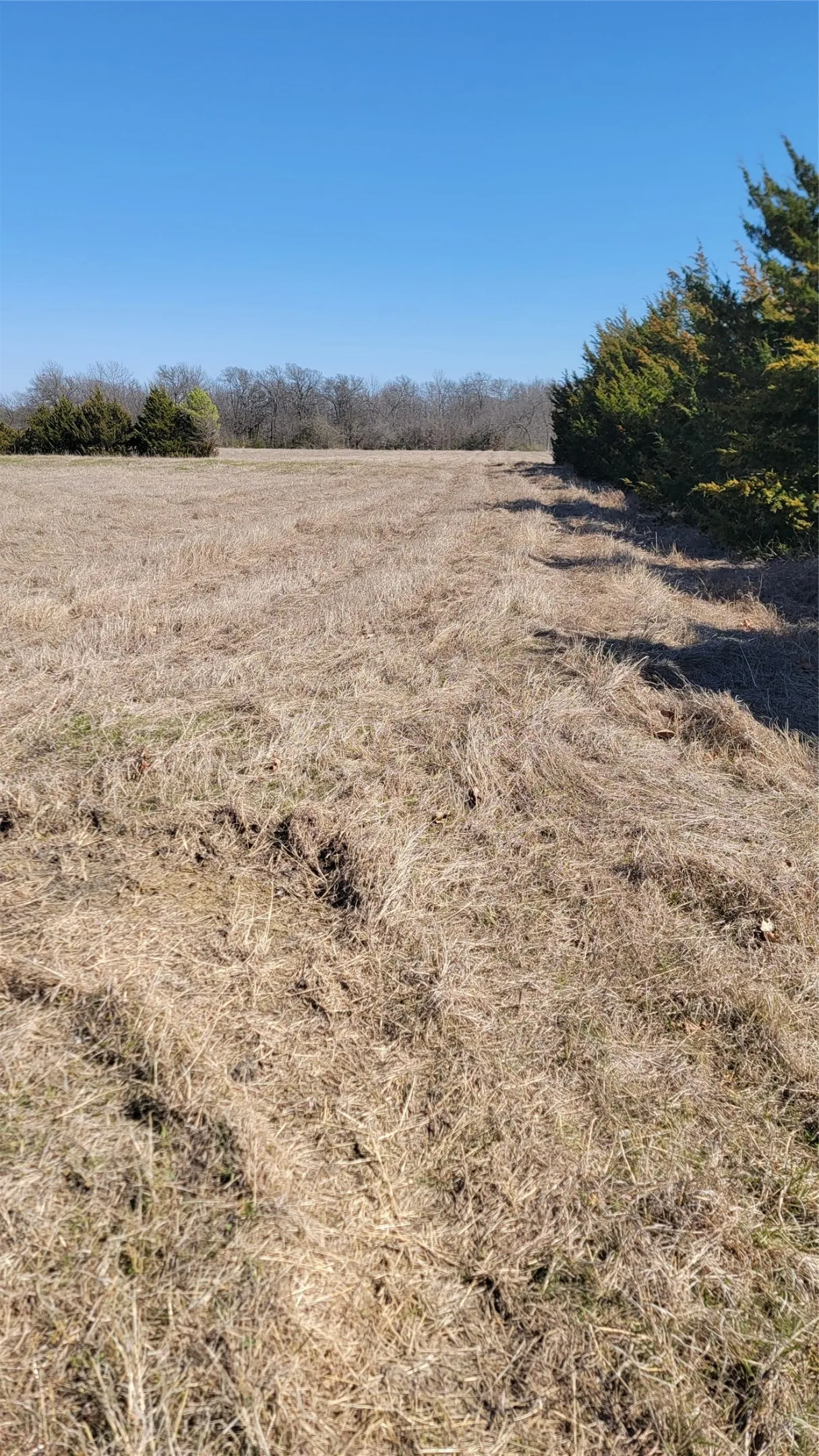 Unimproved Land For Sale in Ellis County , 655 Ewing Road, Ferris, Texas 75125, 0, 0, Garage spaces, 0 Sqft, built in 0, mls#21163282, Real Estate Agent in Ferris, Homes For Sale in Ellis county, Homes For Sale in Ferris, Realtor in Ferris Texas, Real Estate Brokerage Independent Realty Texas, Luminita Cordes Realtor