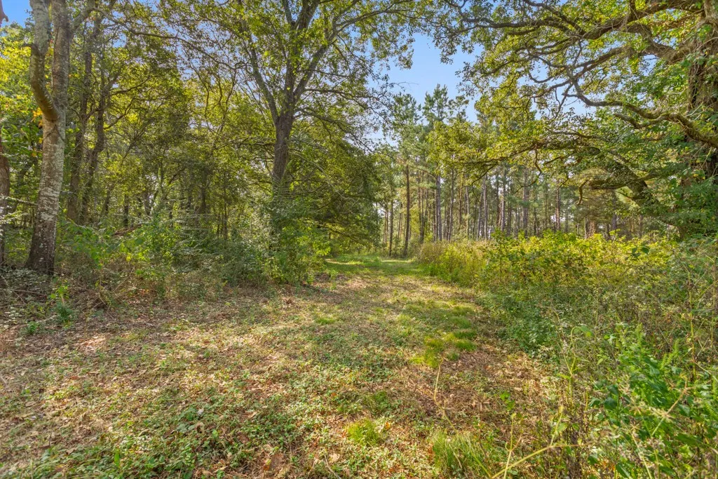 Improved Land For Sale in Smith County , 5379 CR 385, Tyler, Texas 75708, 0, 0, Garage spaces, 0 Sqft, built in 0, mls#21163737, Real Estate Agent in Tyler, Homes For Sale in Smith county, Homes For Sale in Tyler, Realtor in Tyler Texas, Real Estate Brokerage Independent Realty Texas, Luminita Cordes Realtor