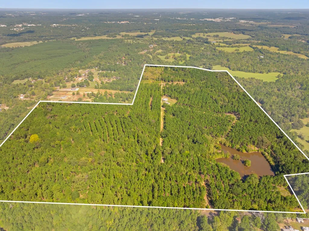 Improved Land For Sale in Smith County , 5379 CR 385, Tyler, Texas 75708, 0, 0, Garage spaces, 0 Sqft, built in 0, mls#21163737, Real Estate Agent in Tyler, Homes For Sale in Smith county, Homes For Sale in Tyler, Realtor in Tyler Texas, Real Estate Brokerage Independent Realty Texas, Luminita Cordes Realtor