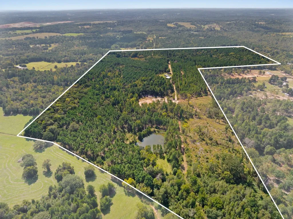 Improved Land For Sale in Smith County , 5379 CR 385, Tyler, Texas 75708, 0, 0, Garage spaces, 0 Sqft, built in 0, mls#21163737, Real Estate Agent in Tyler, Homes For Sale in Smith county, Homes For Sale in Tyler, Realtor in Tyler Texas, Real Estate Brokerage Independent Realty Texas, Luminita Cordes Realtor