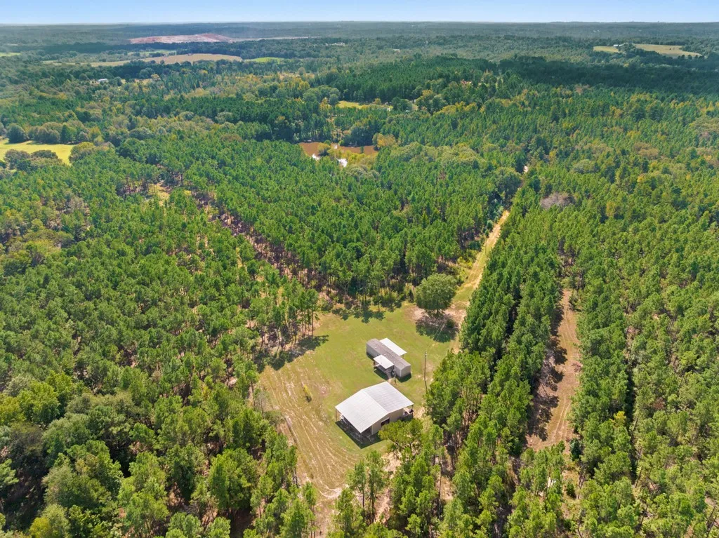 Improved Land For Sale in Smith County , 5379 CR 385, Tyler, Texas 75708, 0, 0, Garage spaces, 0 Sqft, built in 0, mls#21163737, Real Estate Agent in Tyler, Homes For Sale in Smith county, Homes For Sale in Tyler, Realtor in Tyler Texas, Real Estate Brokerage Independent Realty Texas, Luminita Cordes Realtor