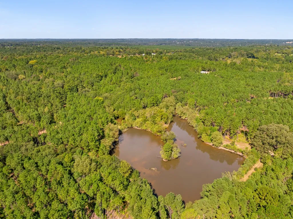Improved Land For Sale in Smith County , 5379 CR 385, Tyler, Texas 75708, 0, 0, Garage spaces, 0 Sqft, built in 0, mls#21163737, Real Estate Agent in Tyler, Homes For Sale in Smith county, Homes For Sale in Tyler, Realtor in Tyler Texas, Real Estate Brokerage Independent Realty Texas, Luminita Cordes Realtor