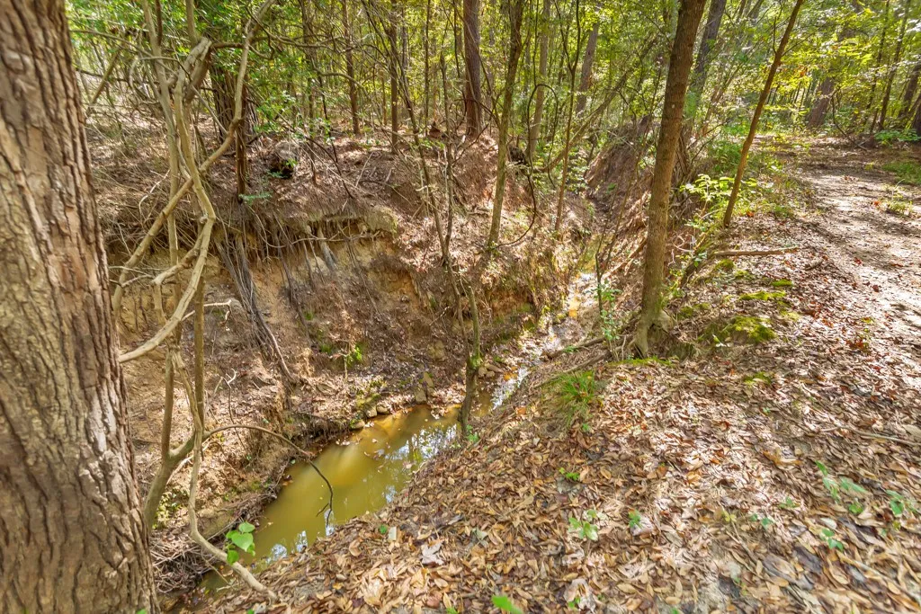Improved Land For Sale in Smith County , 5379 CR 385, Tyler, Texas 75708, 0, 0, Garage spaces, 0 Sqft, built in 0, mls#21163737, Real Estate Agent in Tyler, Homes For Sale in Smith county, Homes For Sale in Tyler, Realtor in Tyler Texas, Real Estate Brokerage Independent Realty Texas, Luminita Cordes Realtor