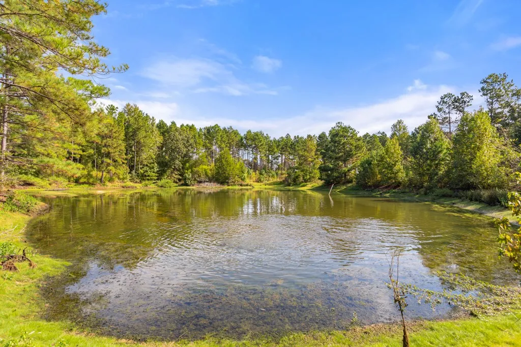 Improved Land For Sale in Smith County , 5379 CR 385, Tyler, Texas 75708, 0, 0, Garage spaces, 0 Sqft, built in 0, mls#21163737, Real Estate Agent in Tyler, Homes For Sale in Smith county, Homes For Sale in Tyler, Realtor in Tyler Texas, Real Estate Brokerage Independent Realty Texas, Luminita Cordes Realtor