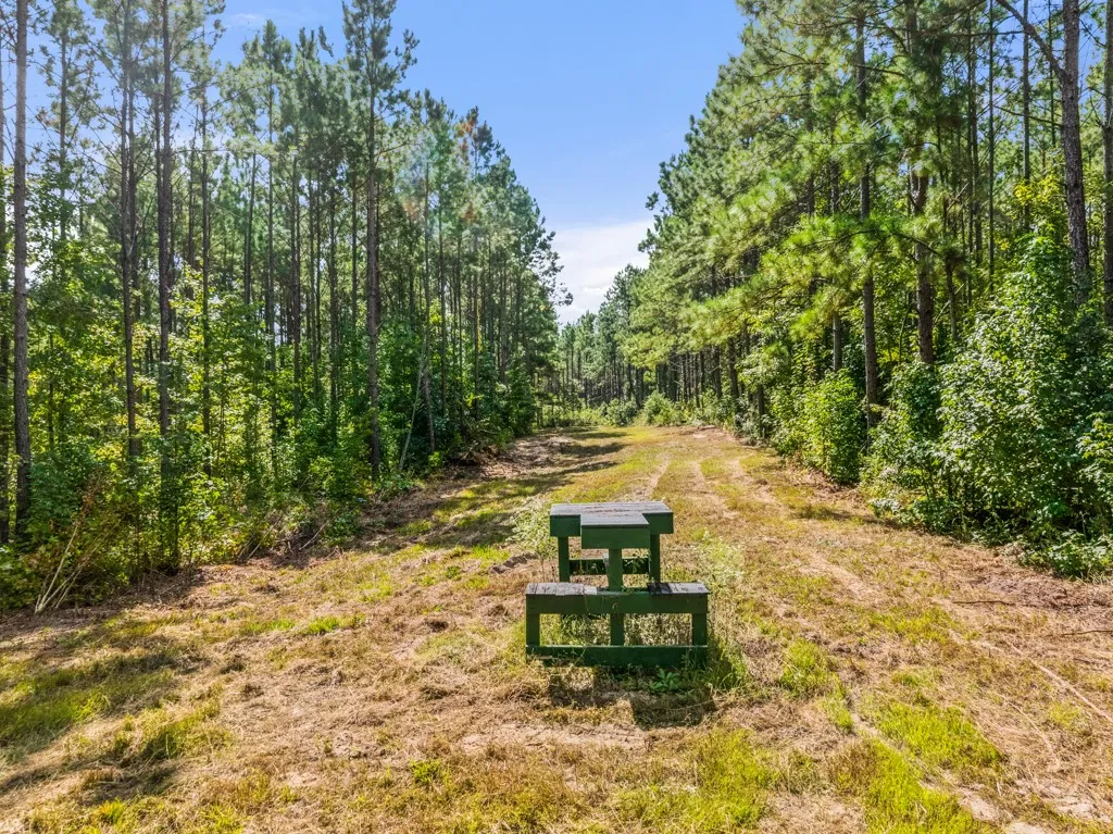 Improved Land For Sale in Smith County , 5379 CR 385, Tyler, Texas 75708, 0, 0, Garage spaces, 0 Sqft, built in 0, mls#21163737, Real Estate Agent in Tyler, Homes For Sale in Smith county, Homes For Sale in Tyler, Realtor in Tyler Texas, Real Estate Brokerage Independent Realty Texas, Luminita Cordes Realtor